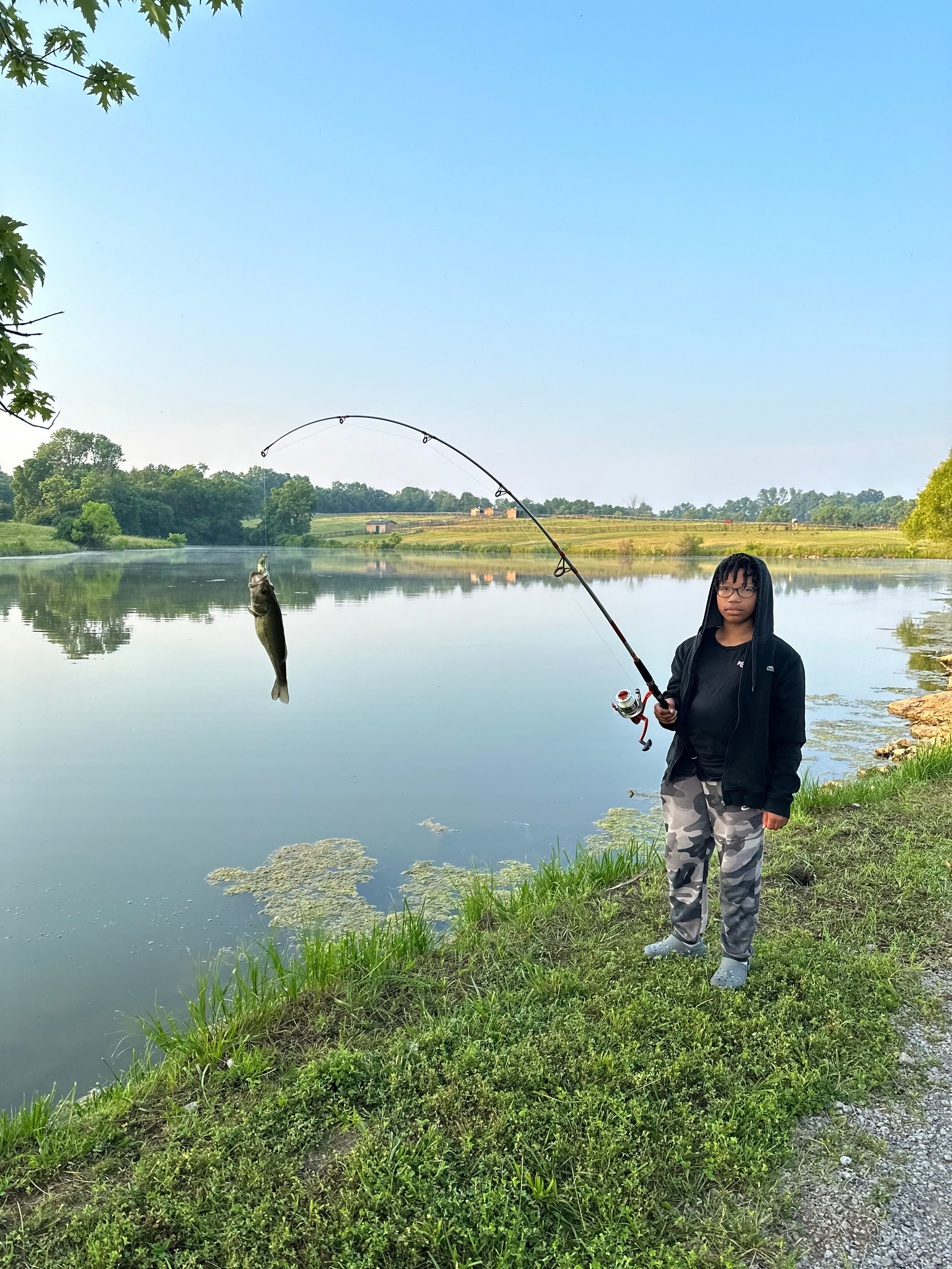 Queenslake - Classic KY Horse Farm