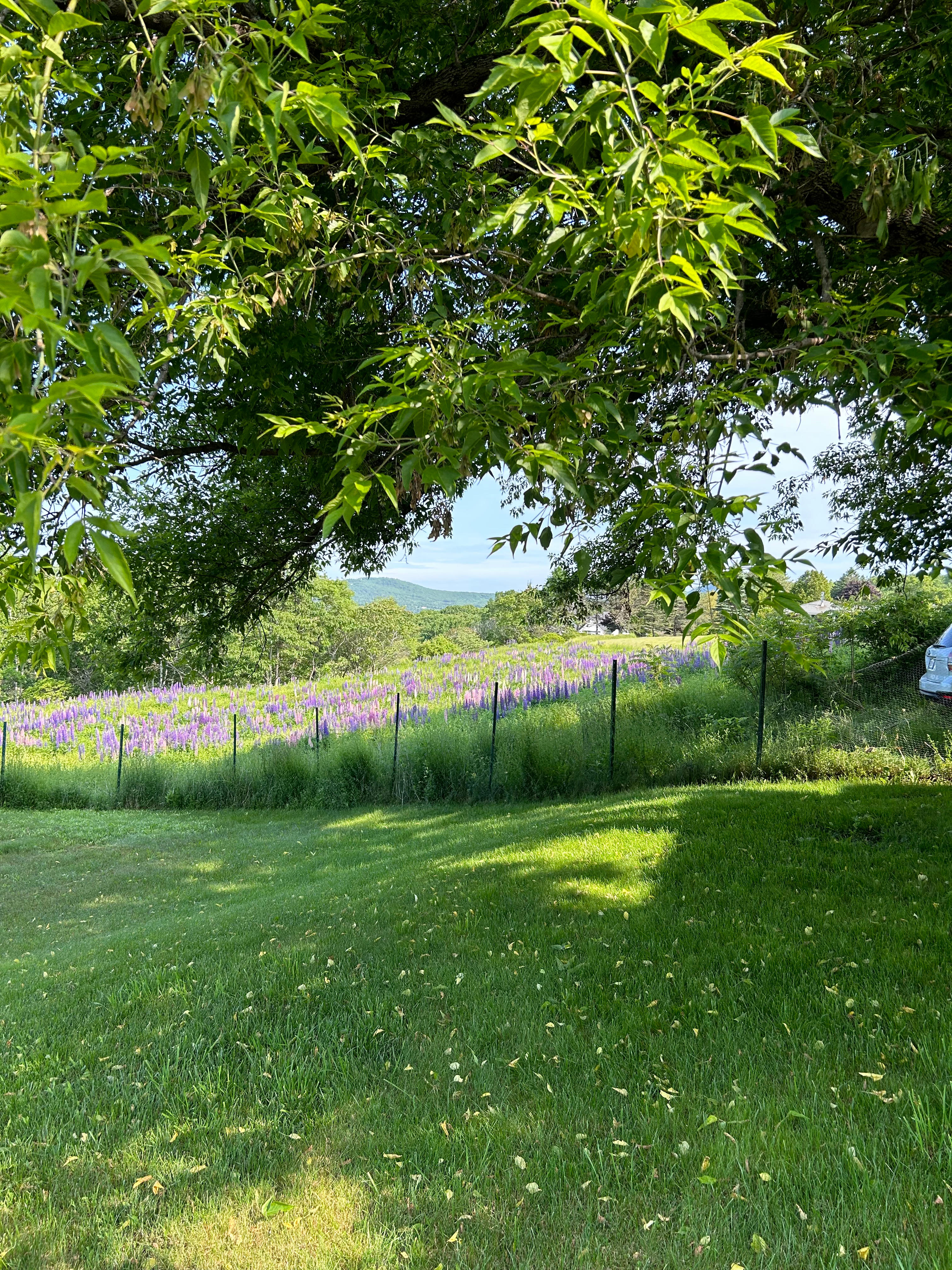 George’s highland edge