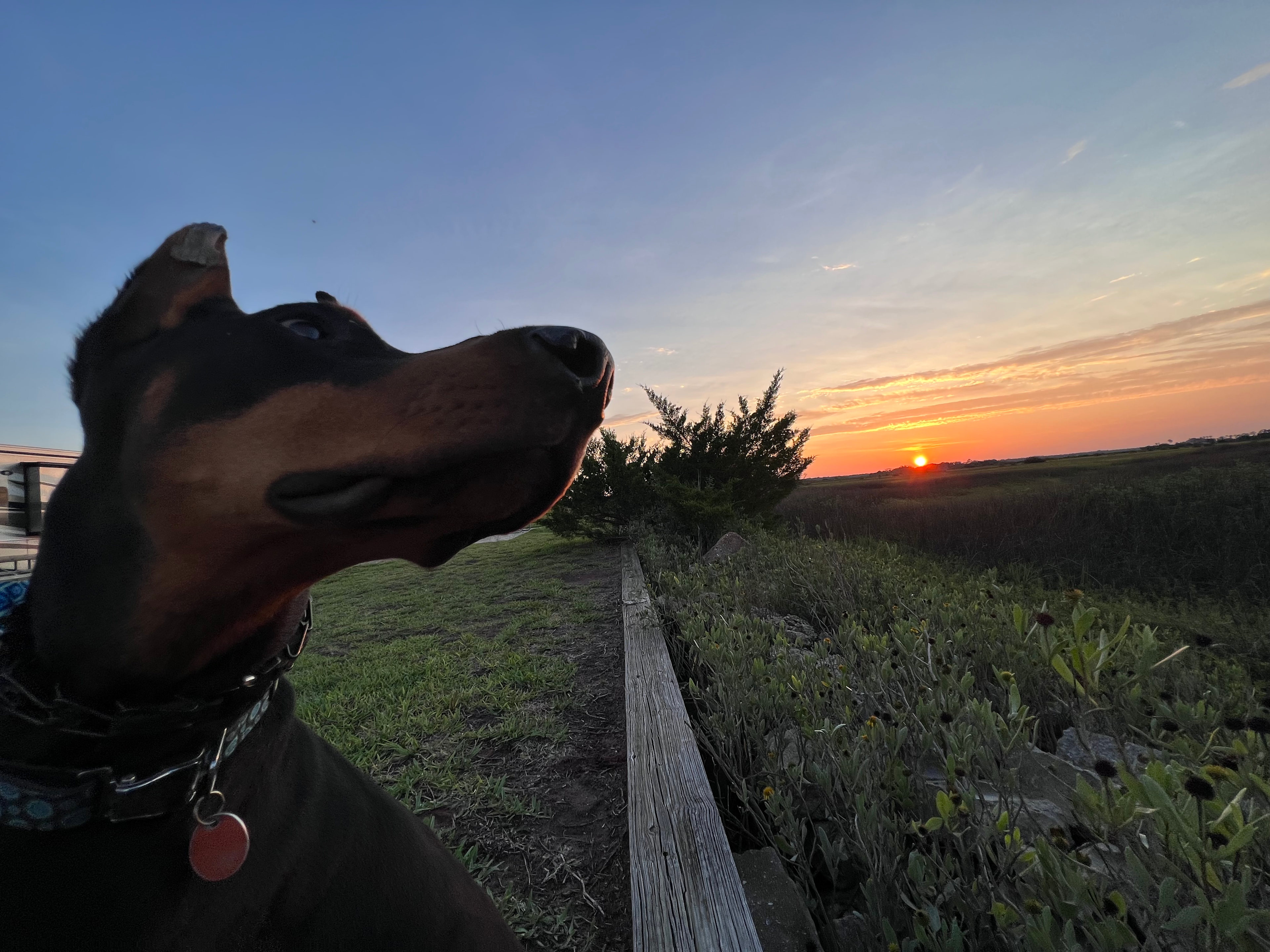 Sunset