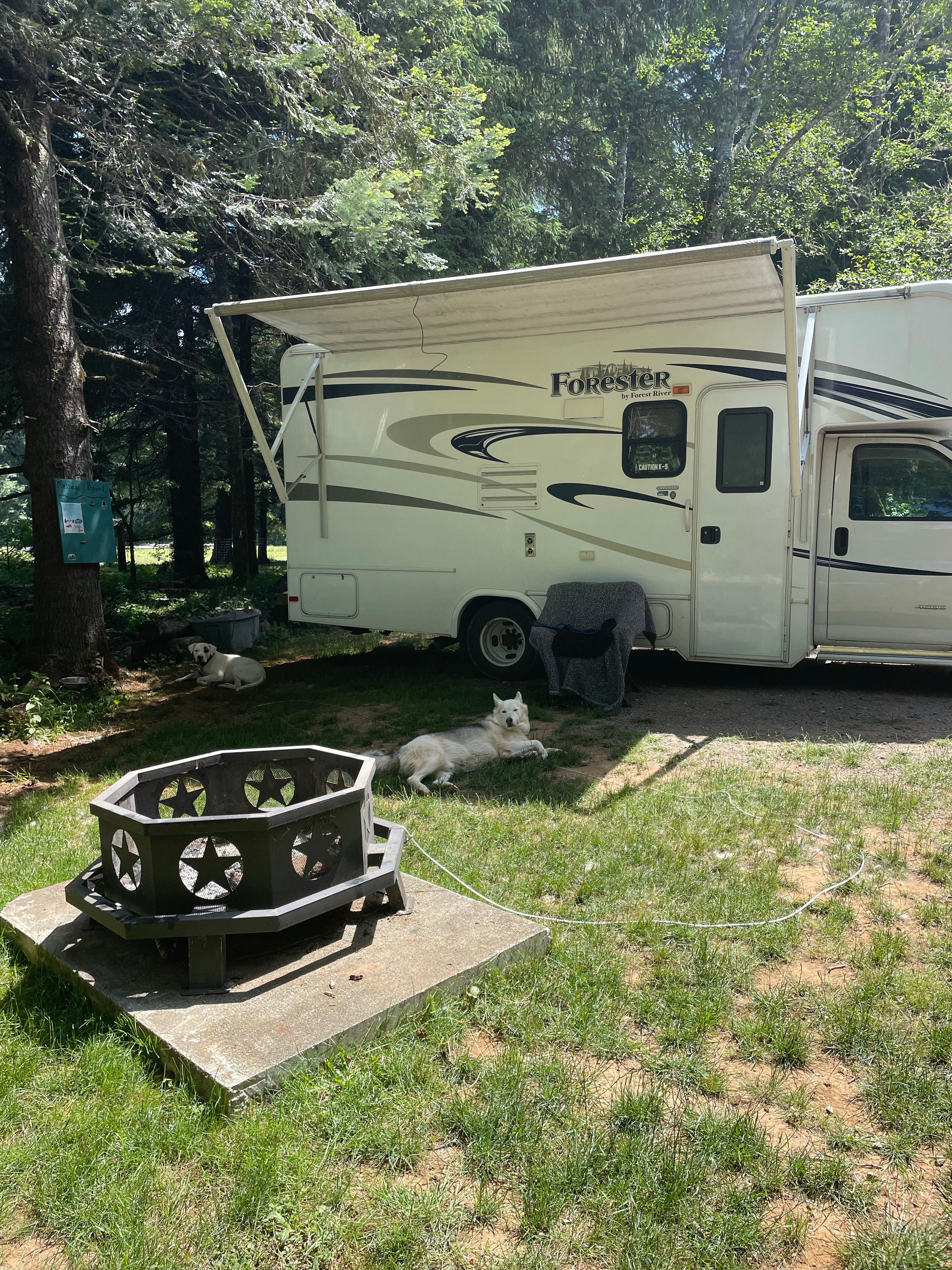 Coastal Forest Farm Camp