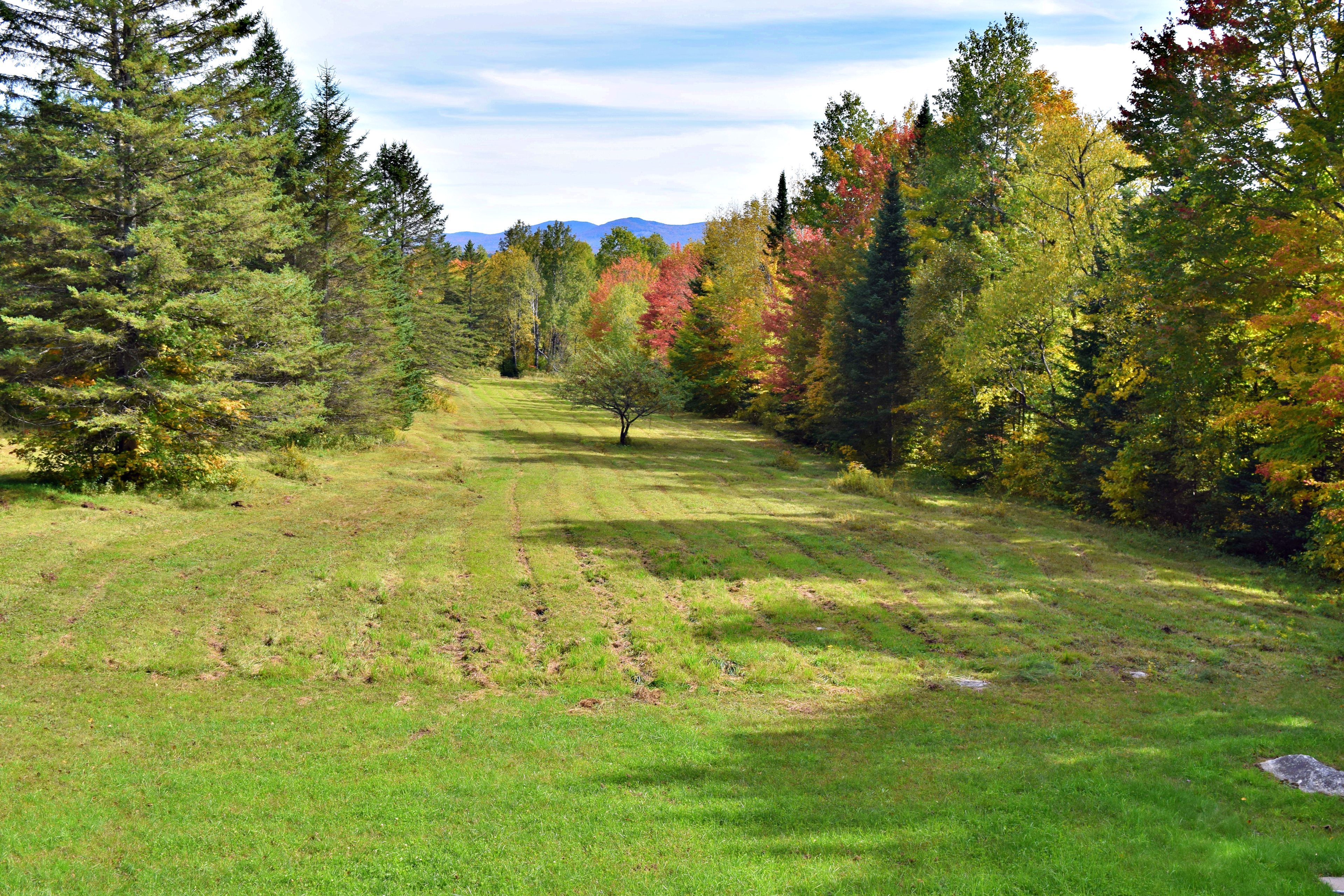 Island Pond ATV Trailside Camping