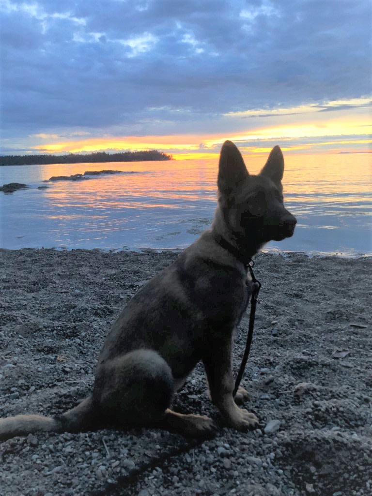 Sunset at Madrona Beach park, 5 minute drive up the road.
