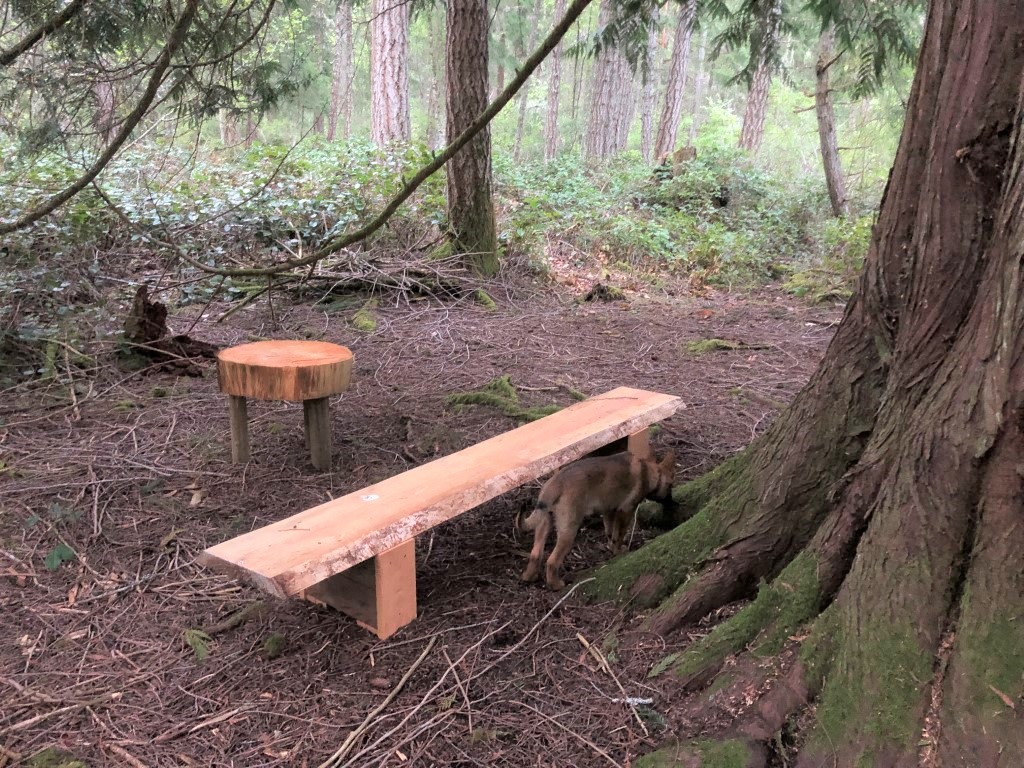Island Serenity Camp & Forest Walk