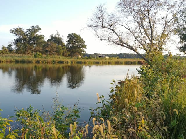 Blackwater Tiny Cabin on Snakehead