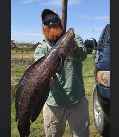 Blackwater Tiny Cabin on Snakehead