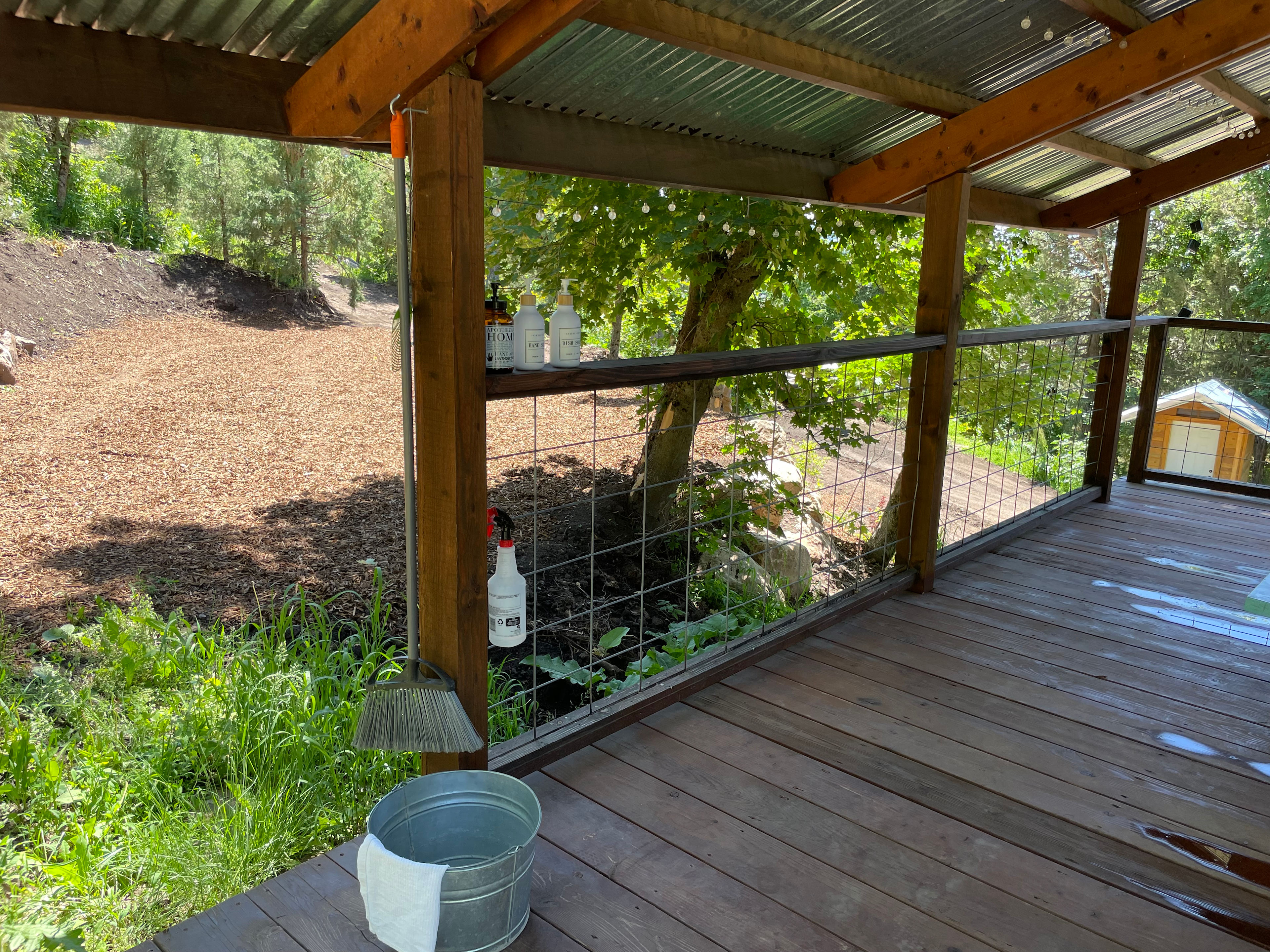 Mountain Maple Ranch 🍁