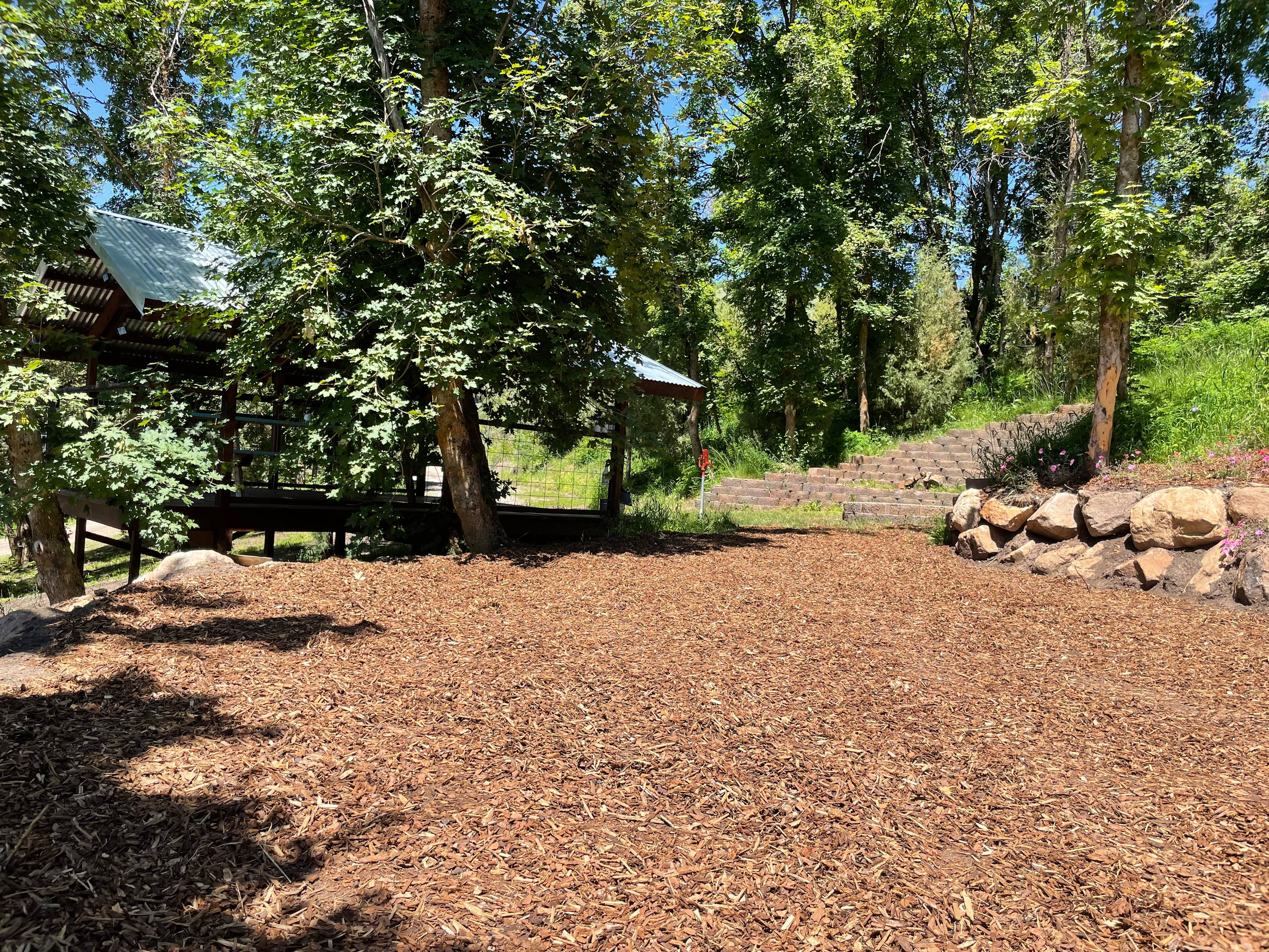 Mountain Maple Ranch 🍁