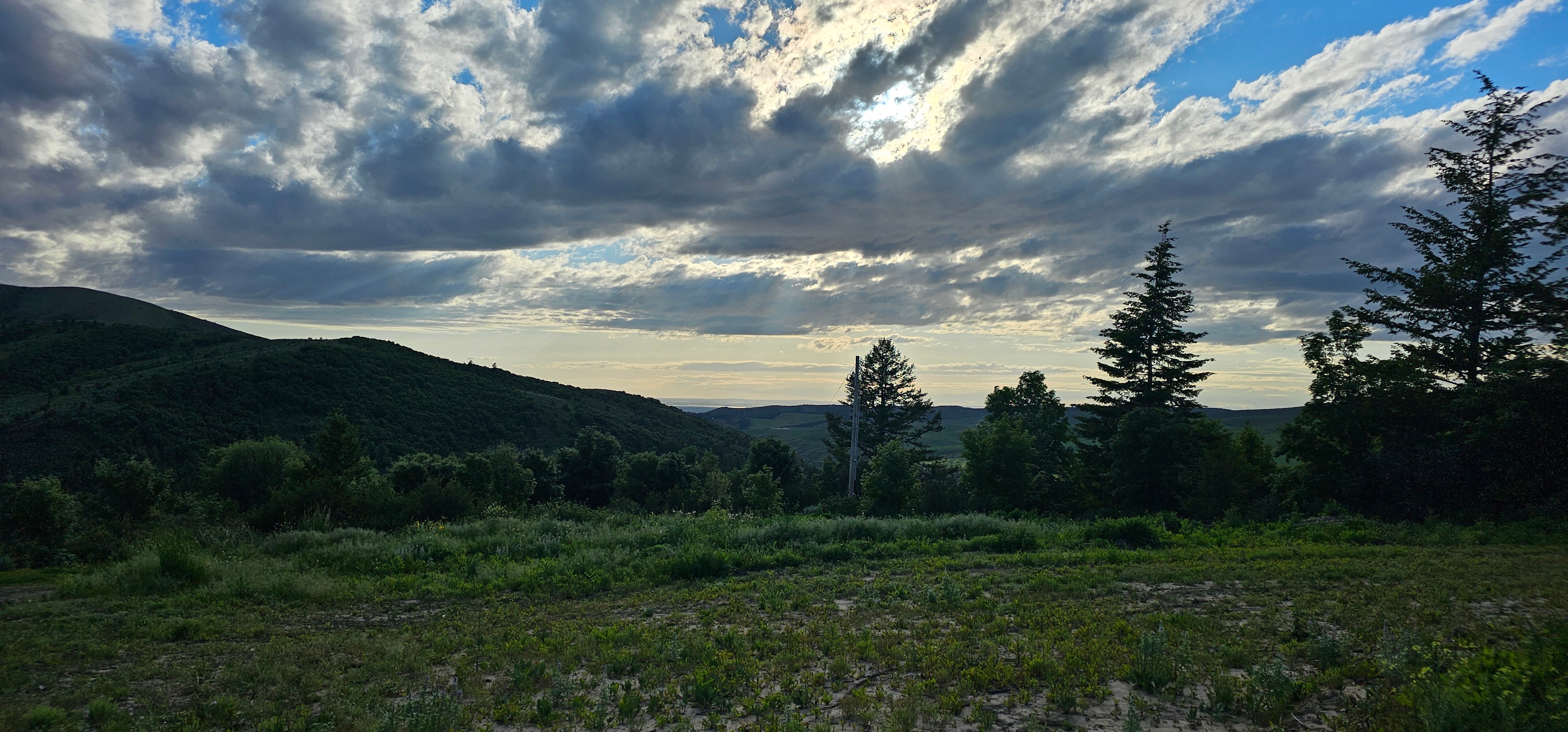 Moonlight Mine Acres