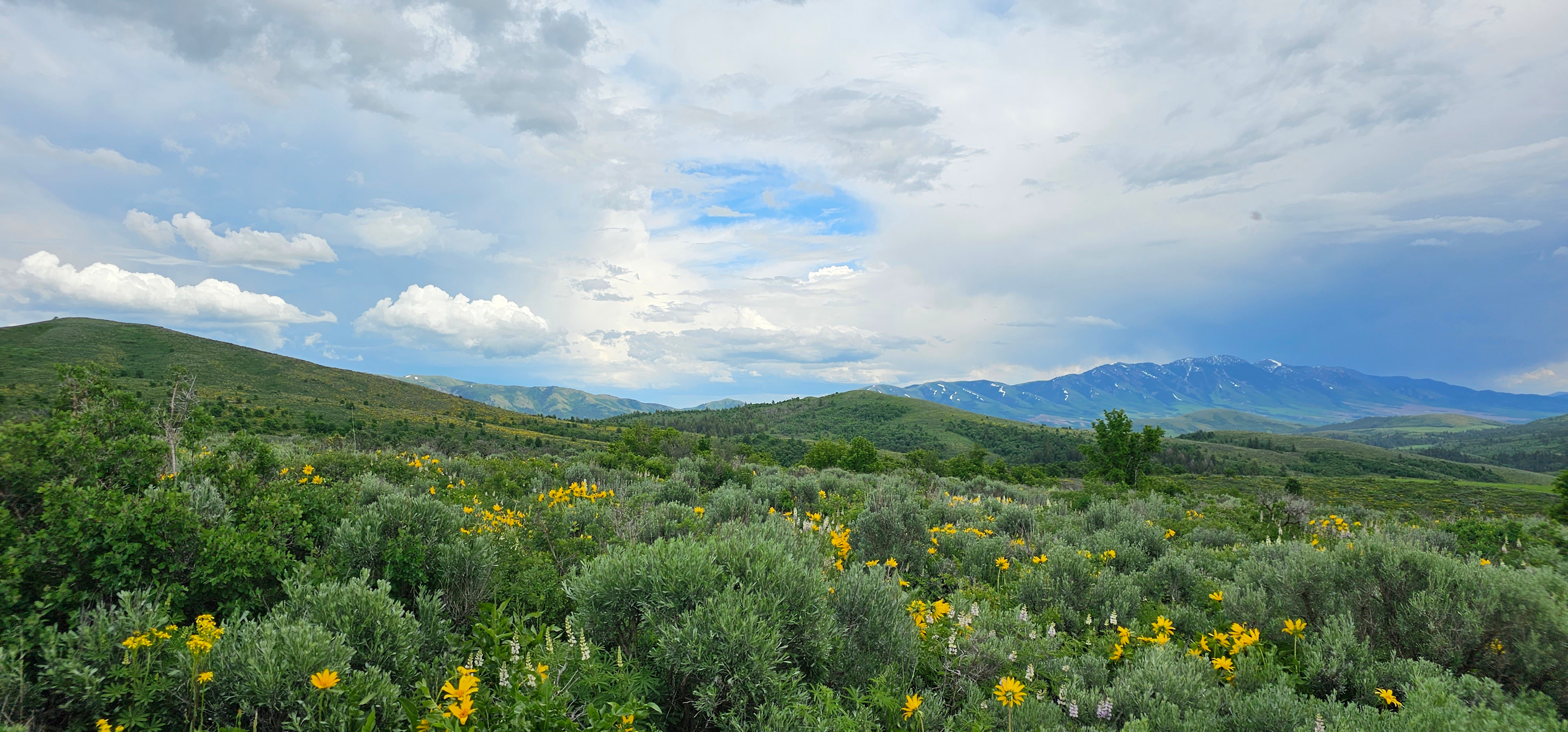 Moonlight Mine Acres