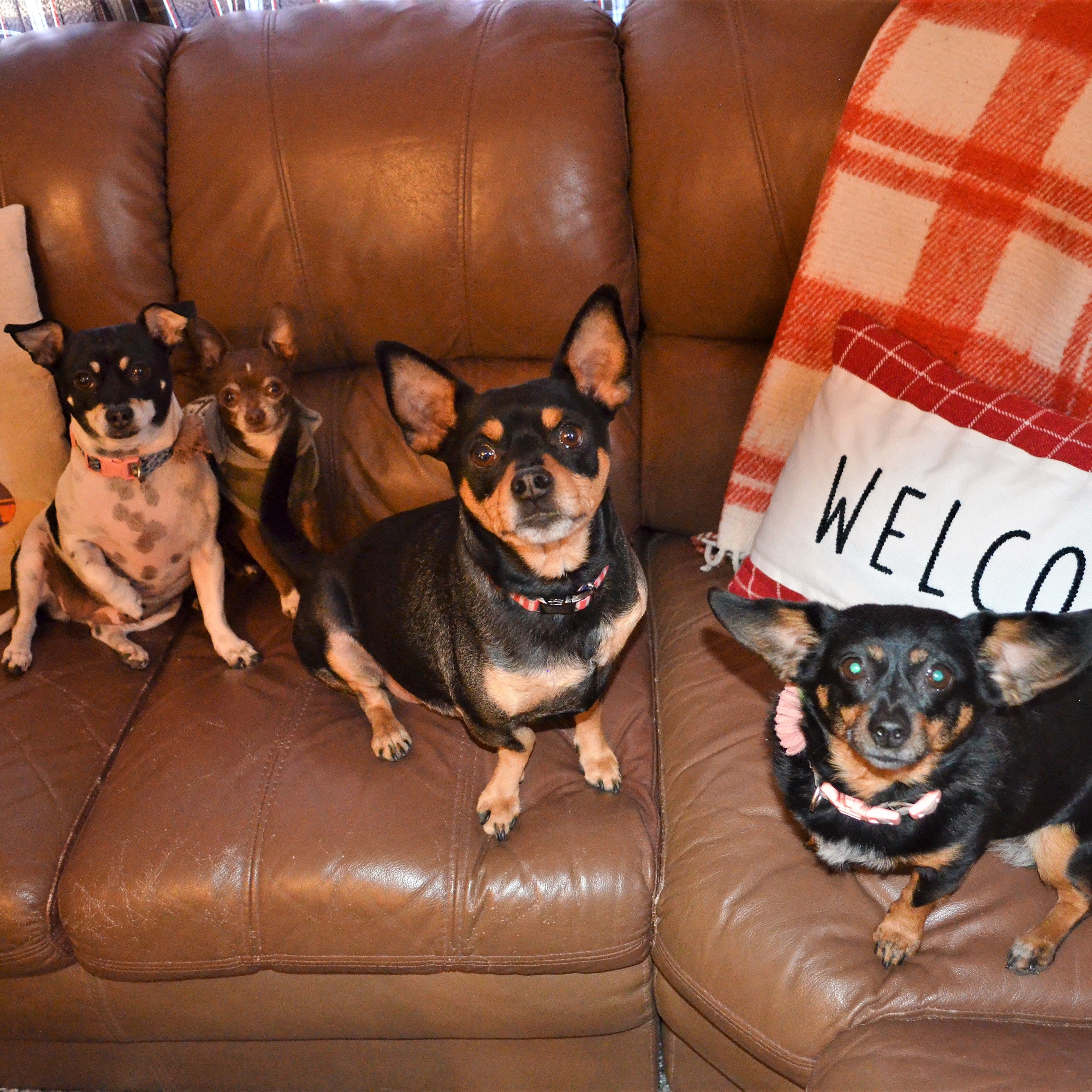 Grand Canyon West Cabin