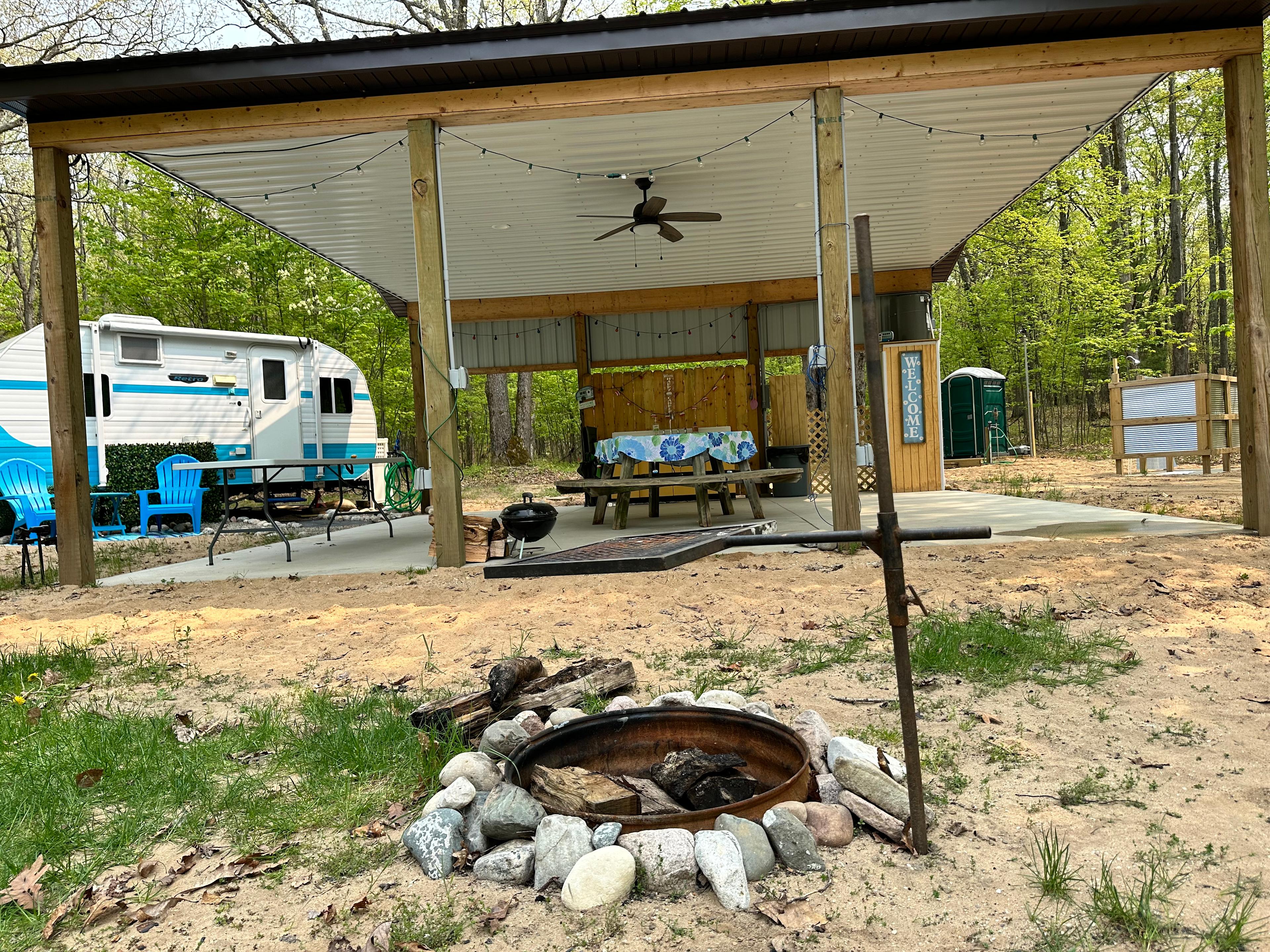 Daisy Jane in the meadow