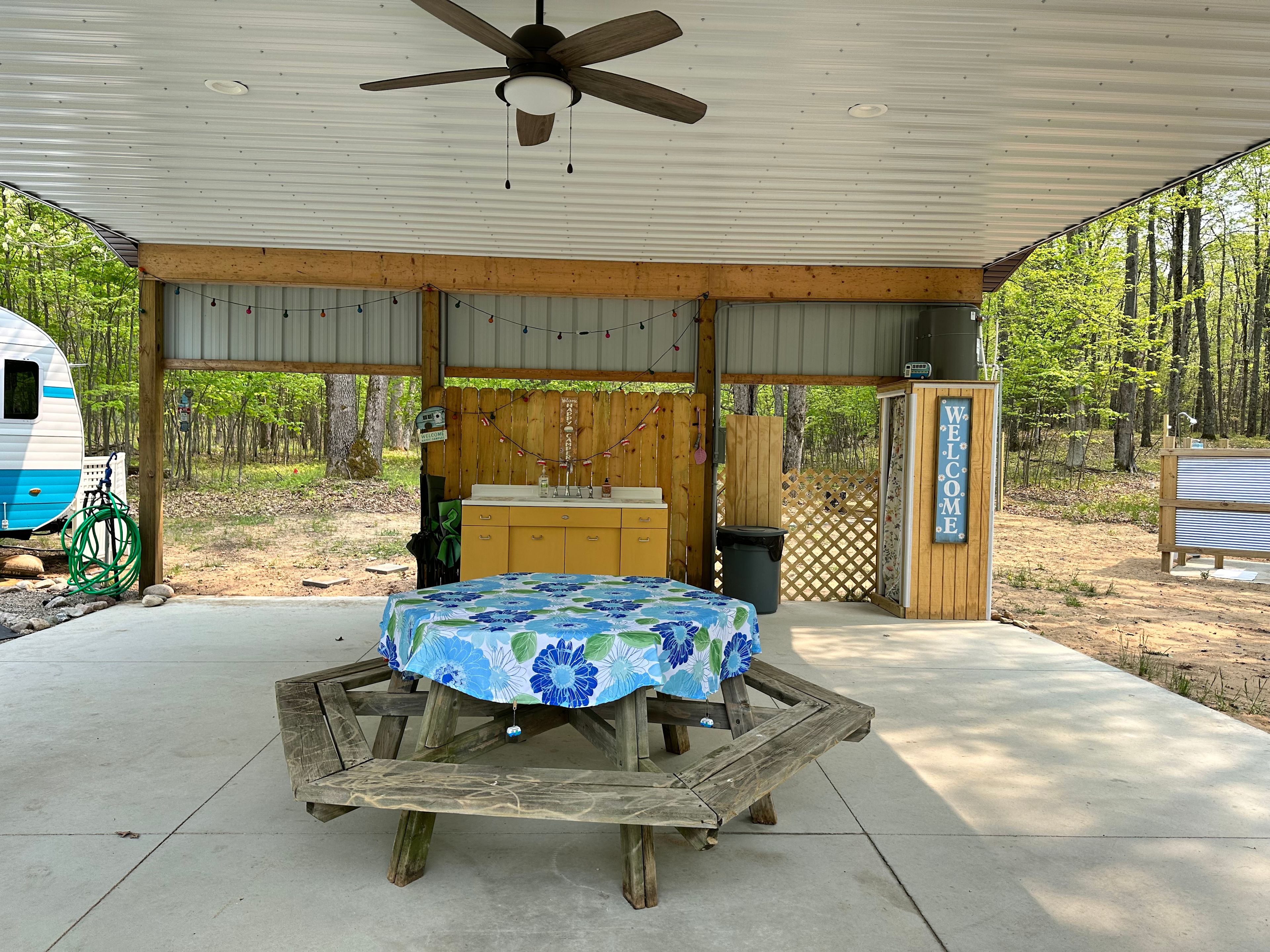 Daisy Jane in the meadow