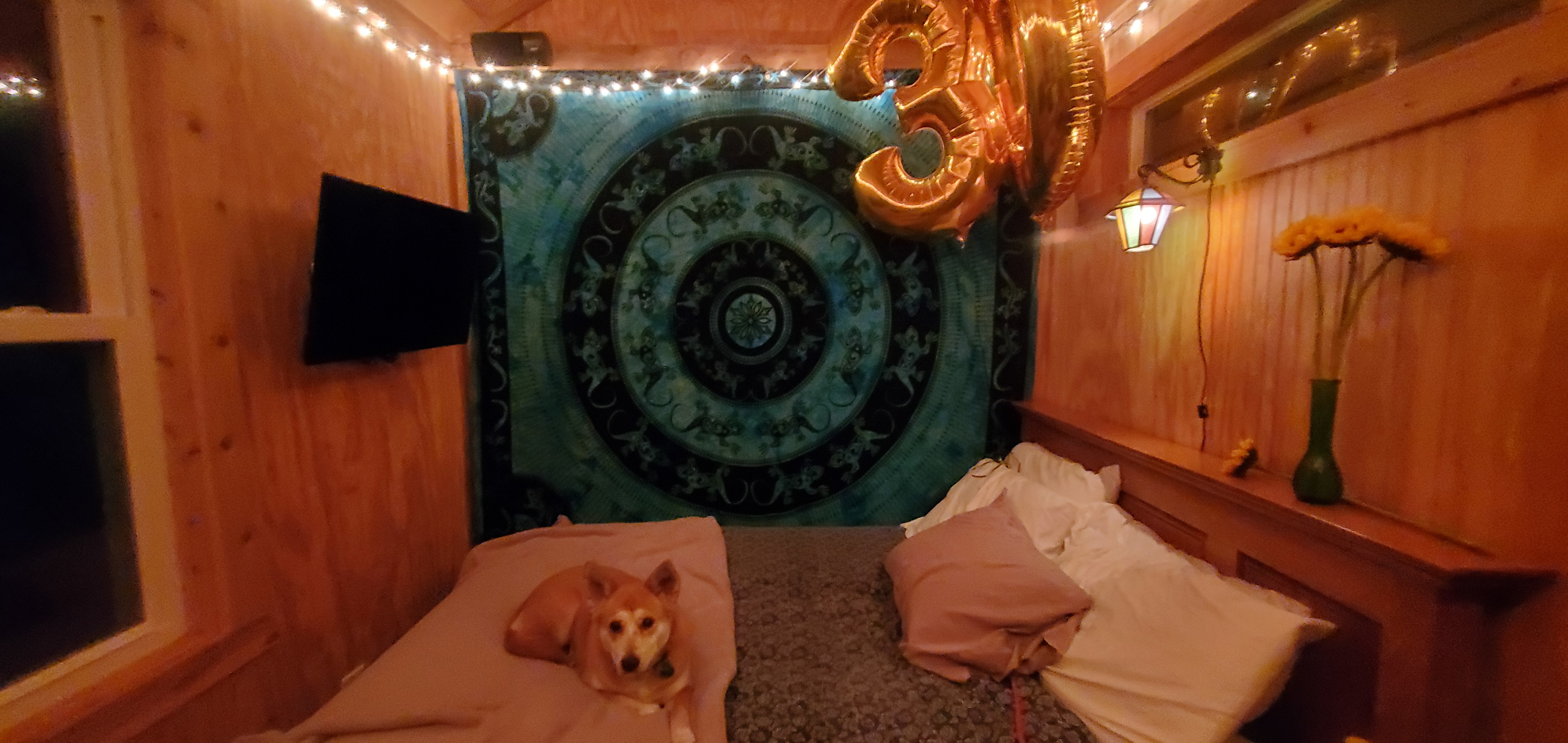 Glamping with room to roam.