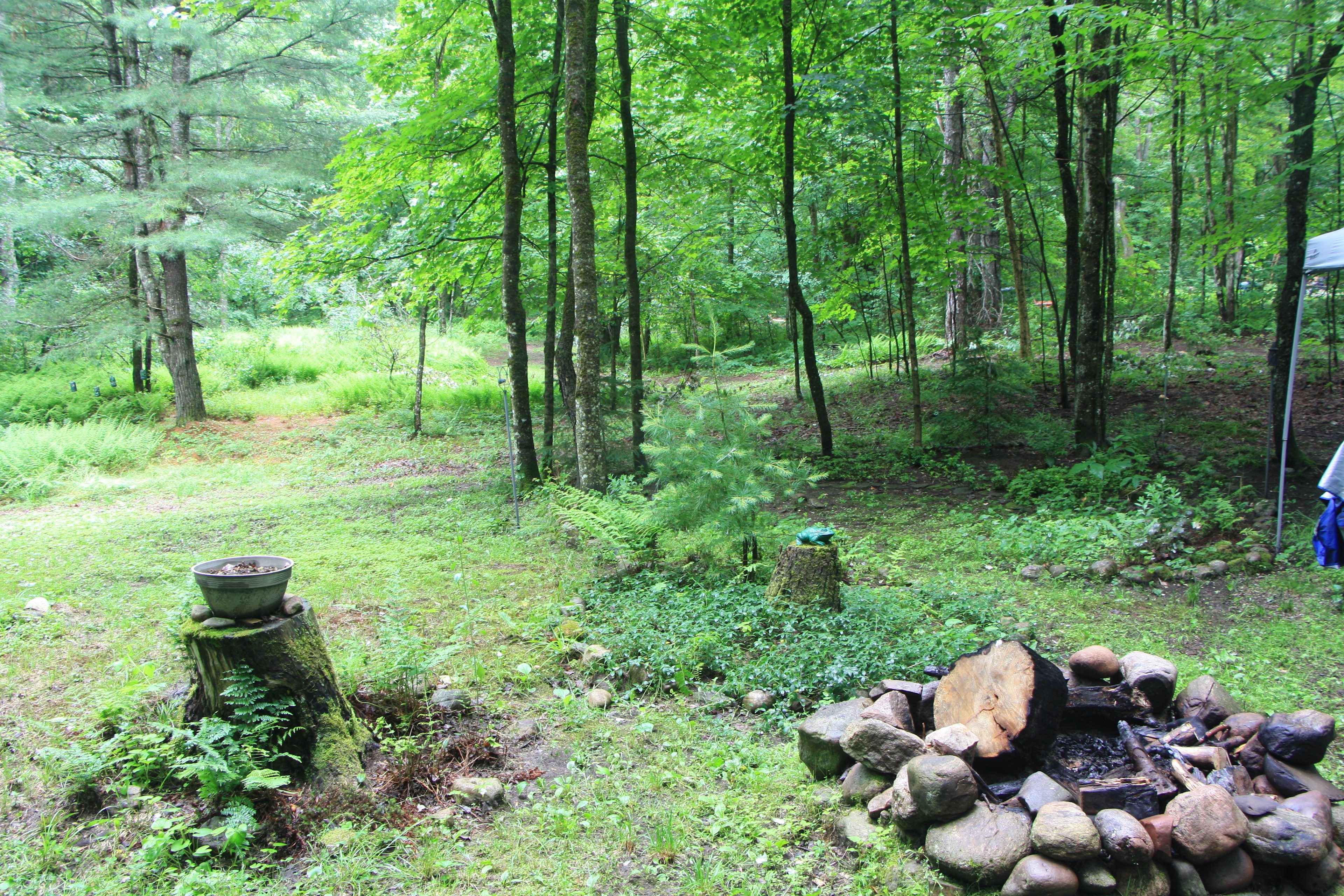 Reflections Homestead