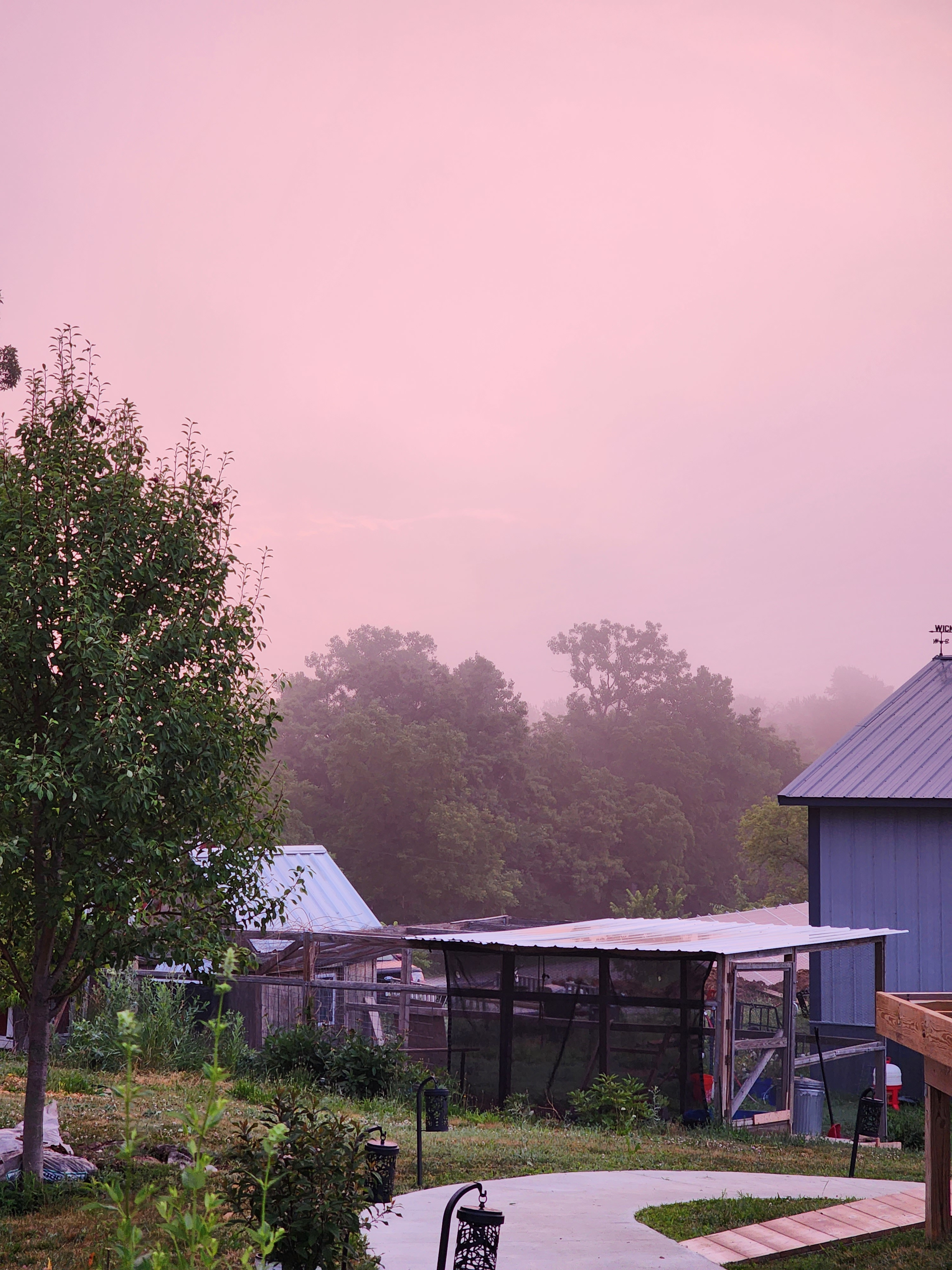 Chicken coop sunrise 