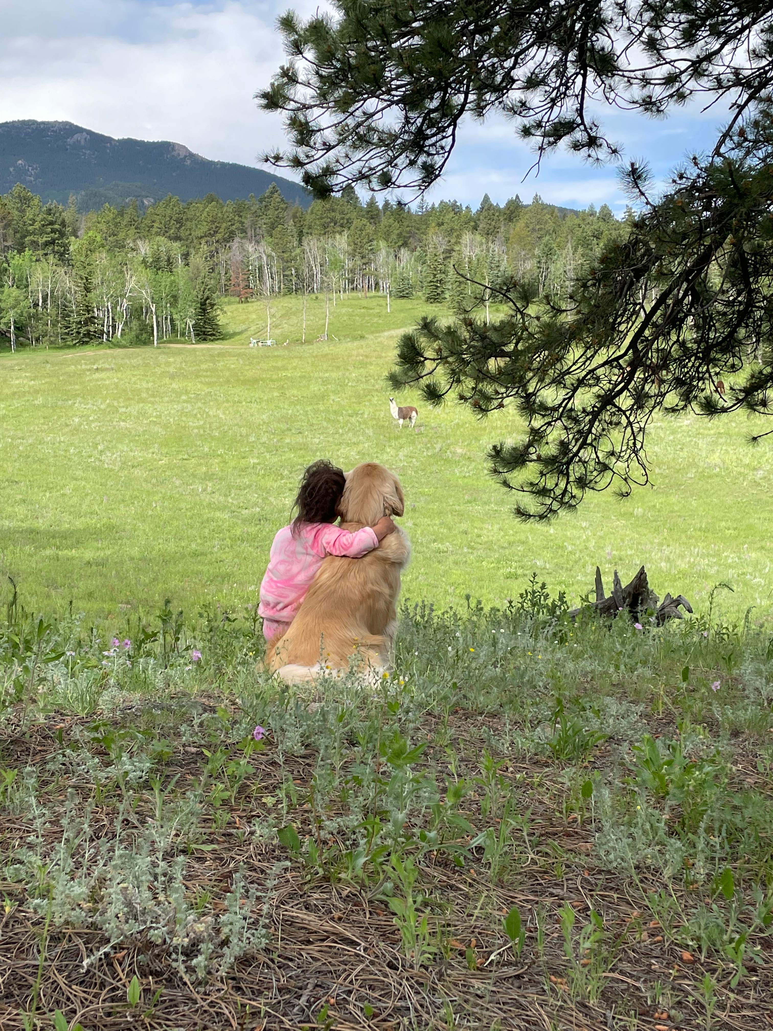 Rustic Creek Ranch