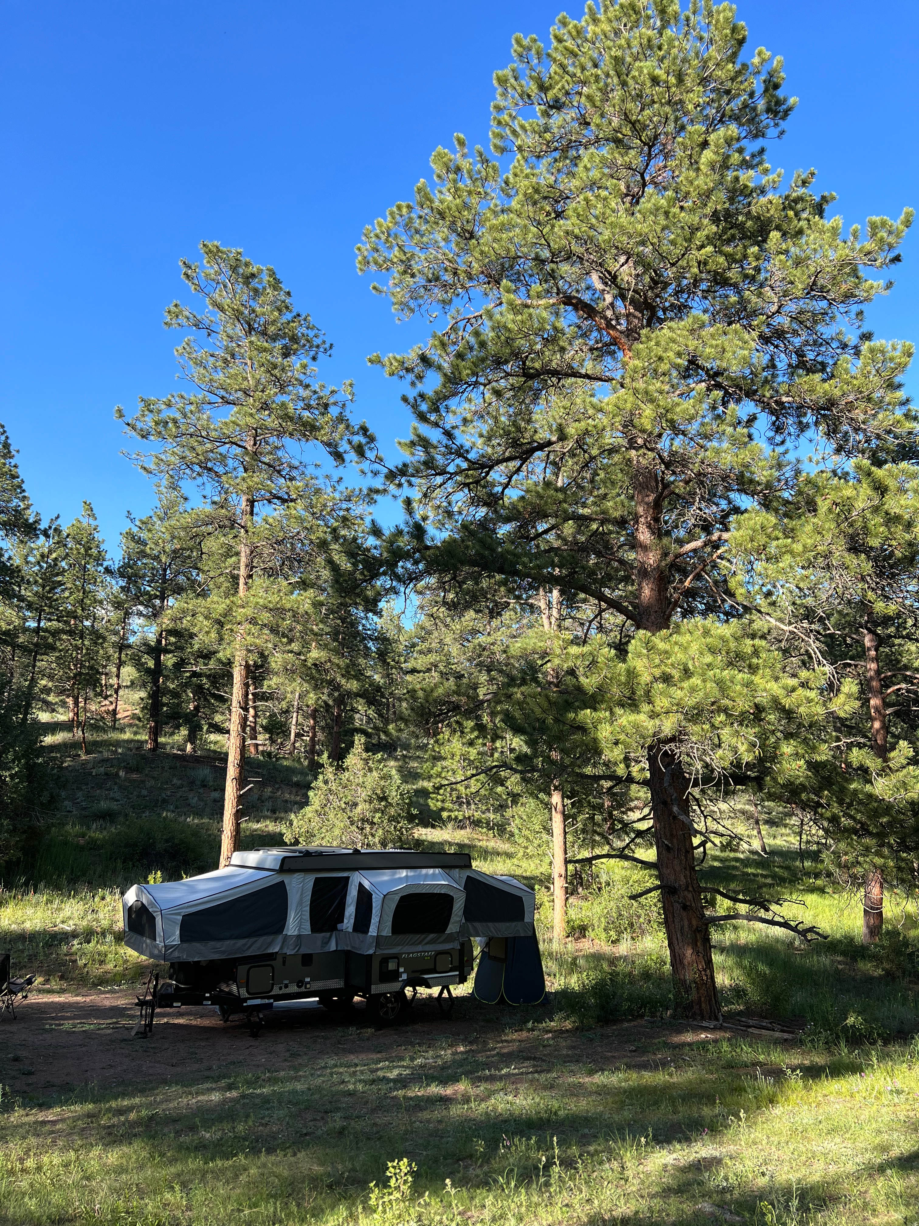 Serenity in the Foothills