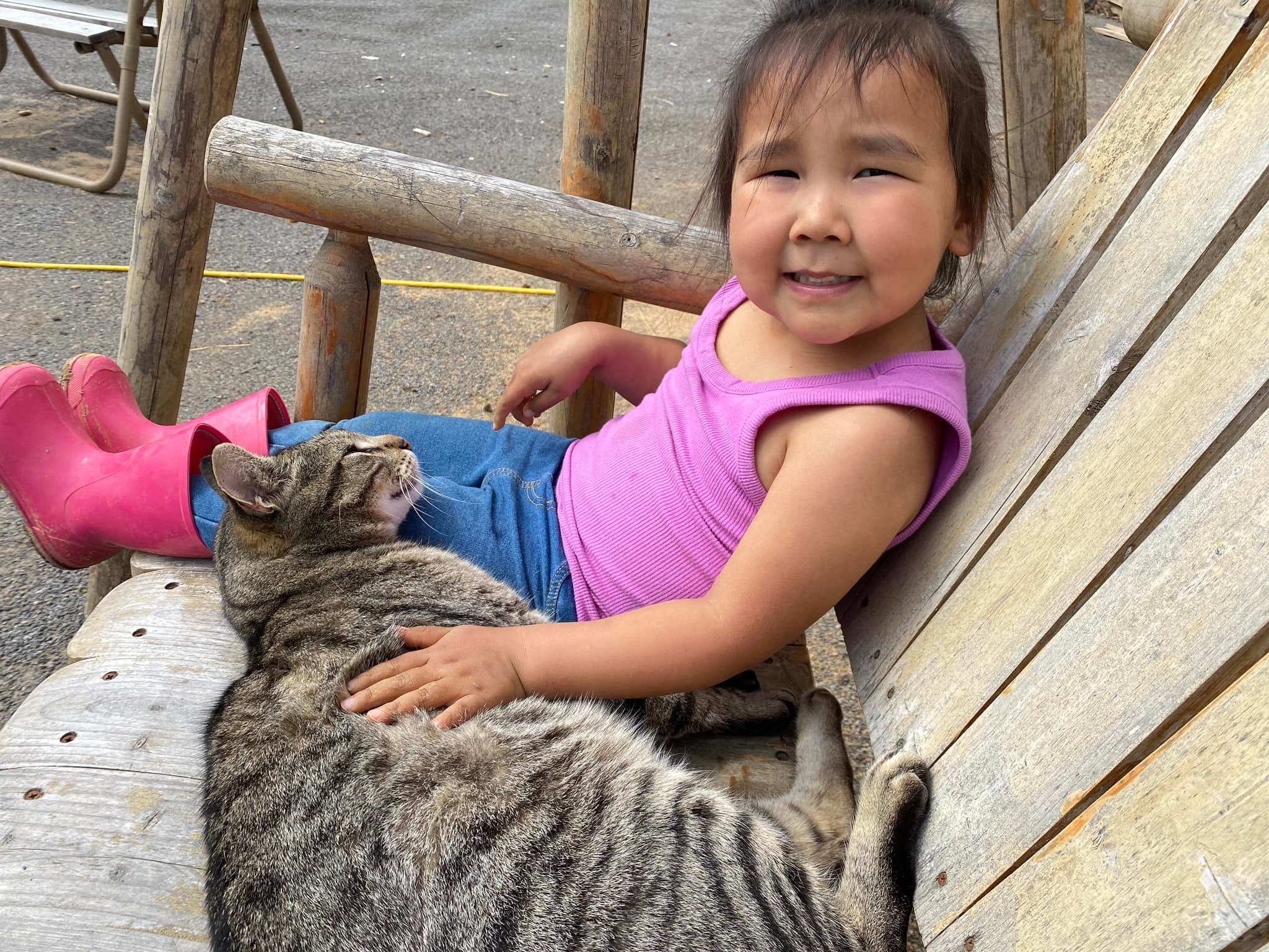 One of the friendly farm cats.  