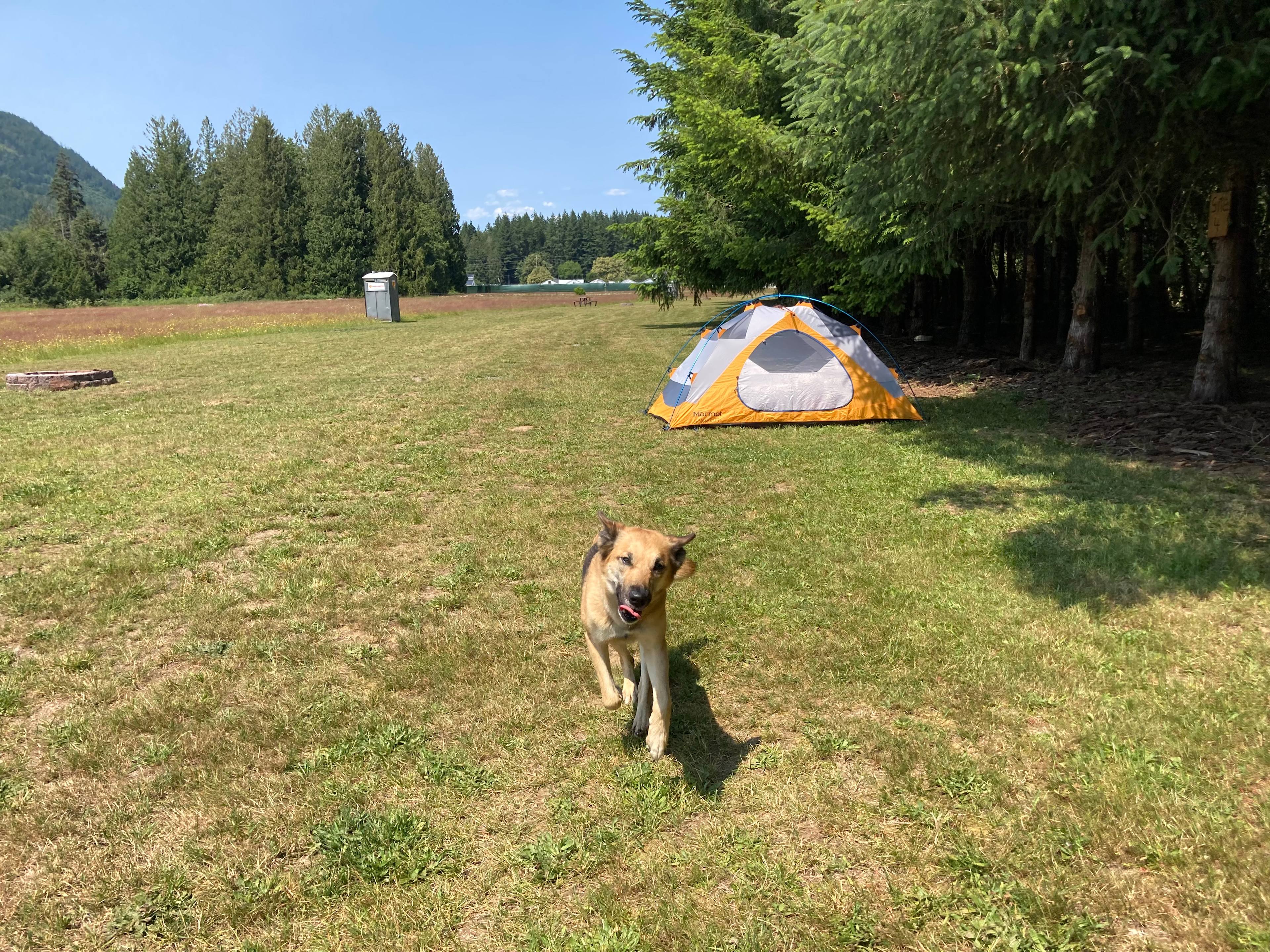 Zender Camp