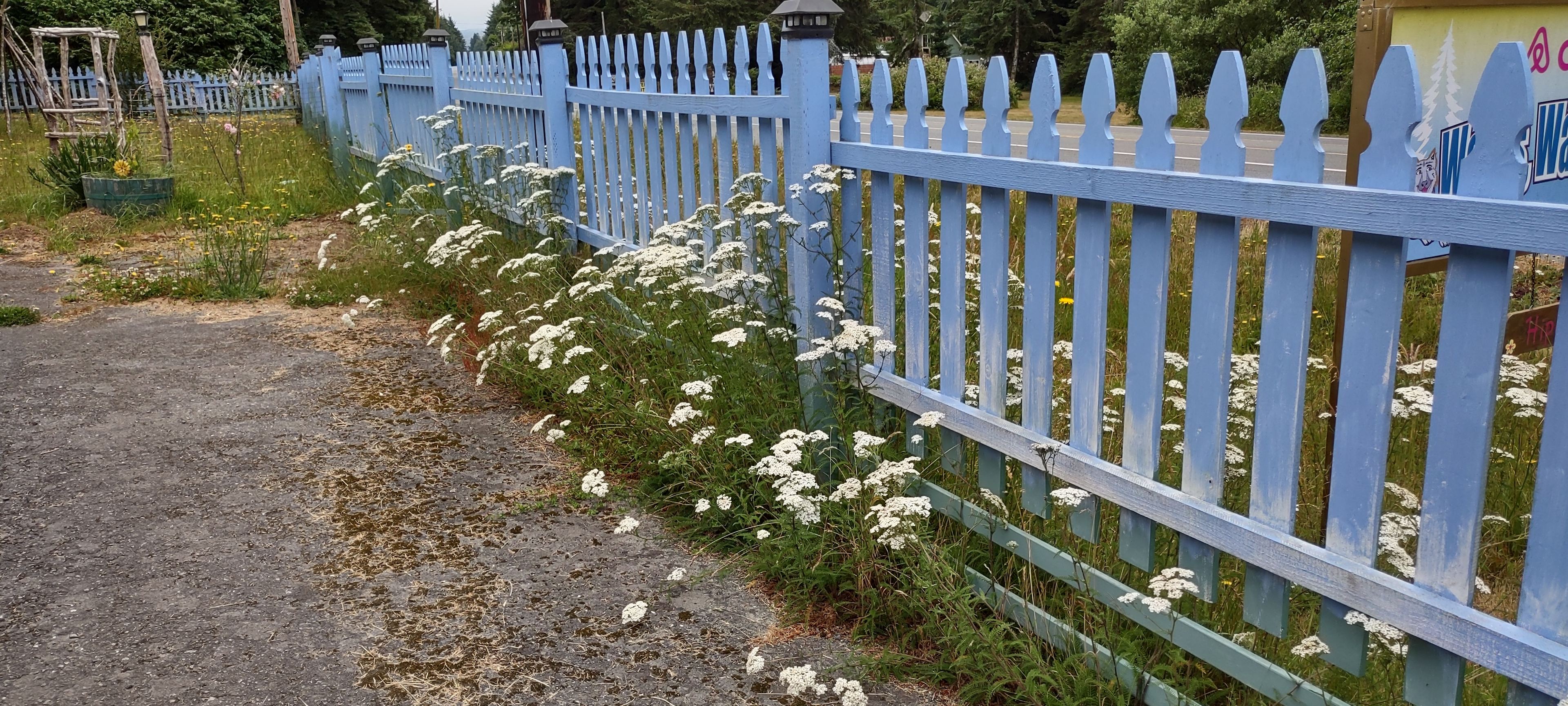 Woods, Waves & Wags/Hipcamp