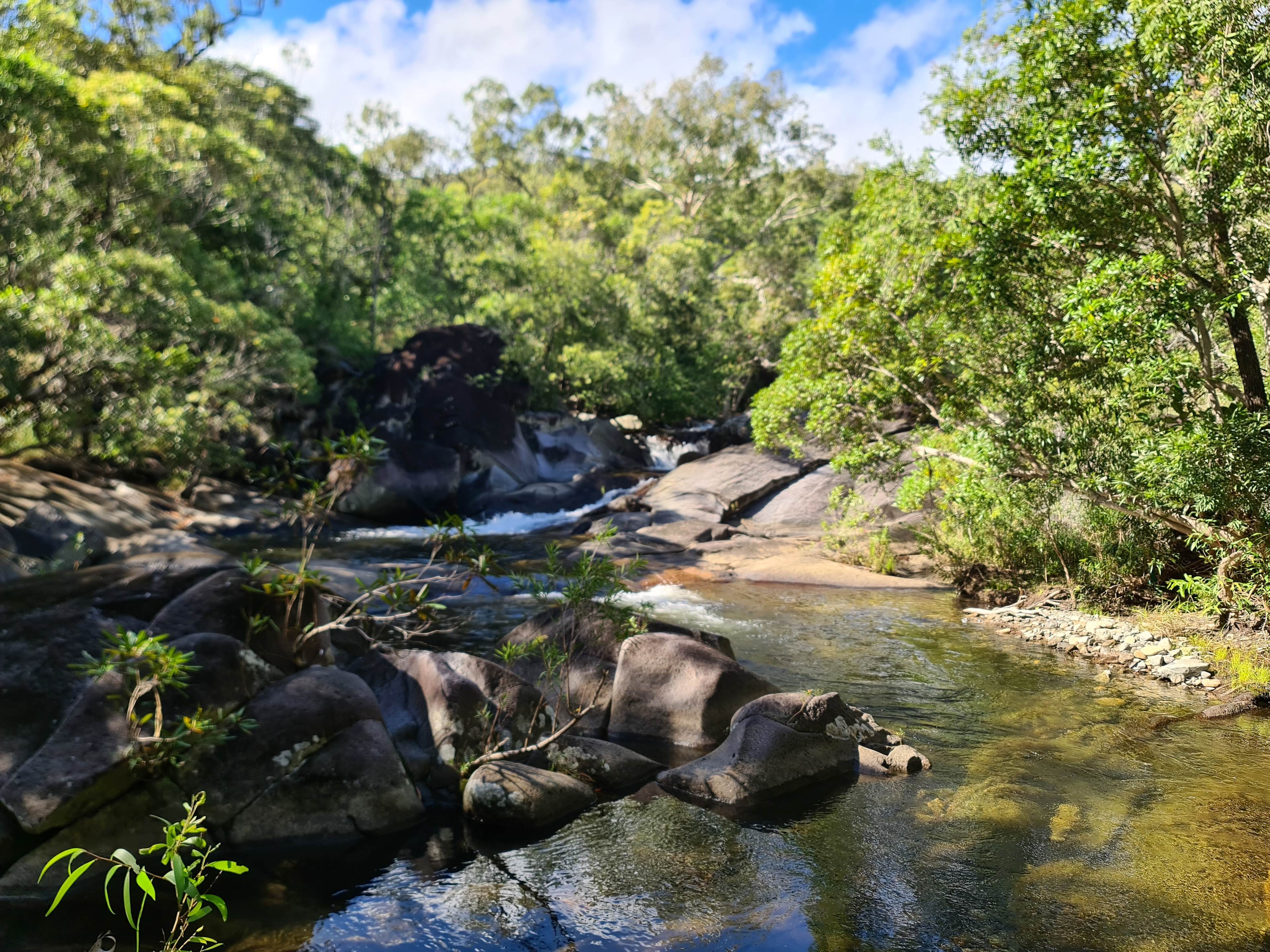 Scrubby Creek Trevethan Falls