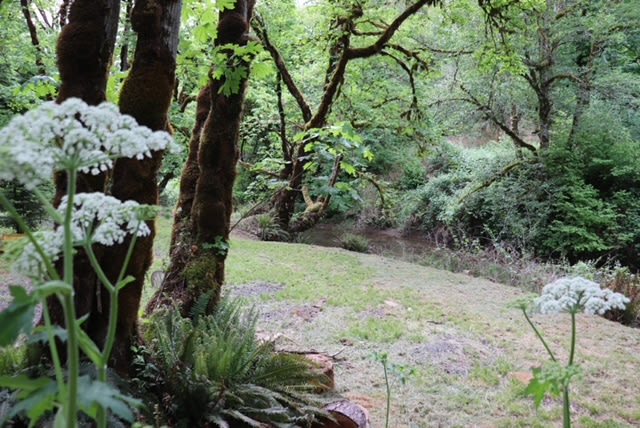 A beautiful campsite located just off of the water in an isolated location. Perfectly quiet with lots of nature's sounds!

