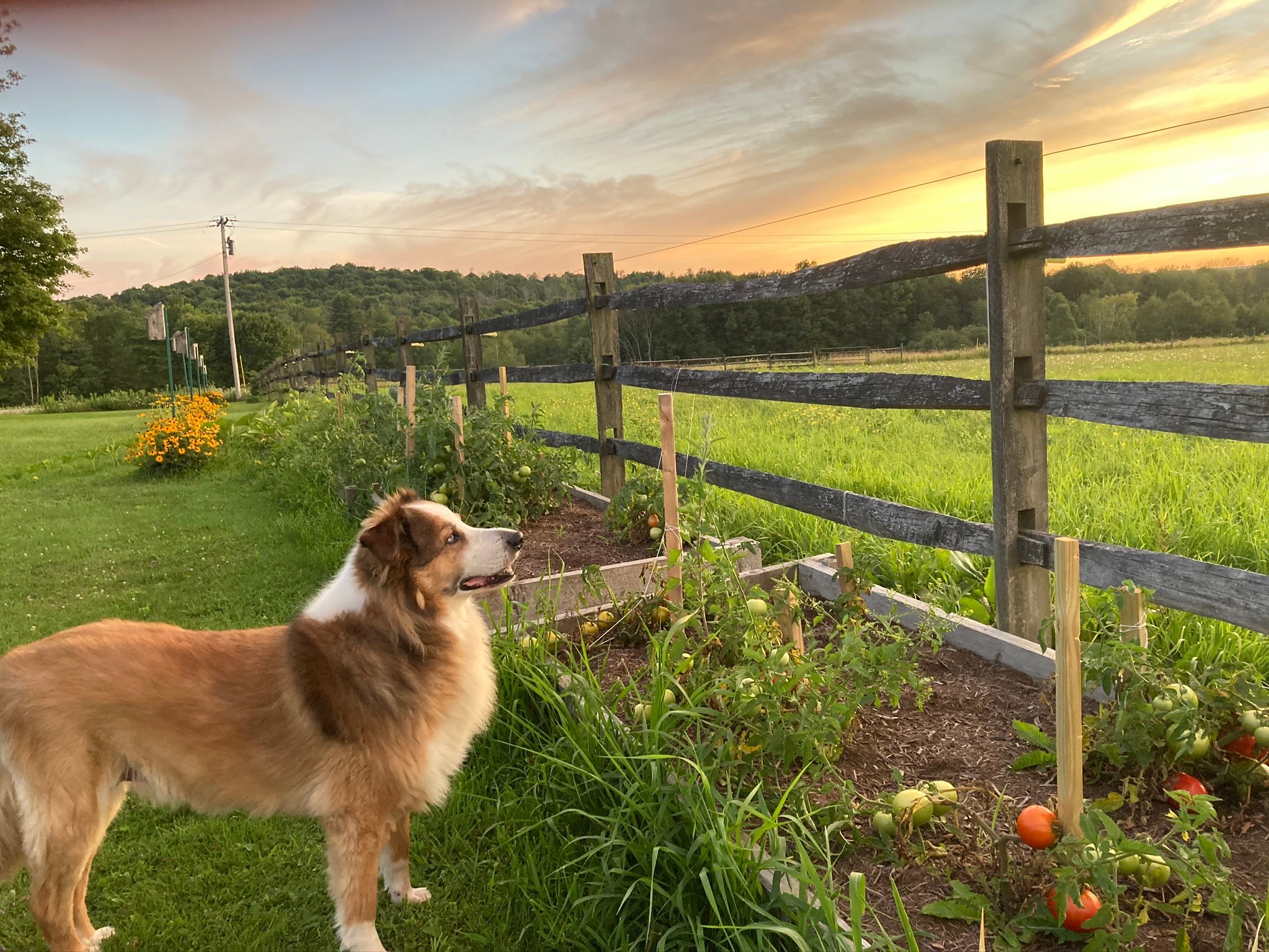 Big Sky Relaxation Station