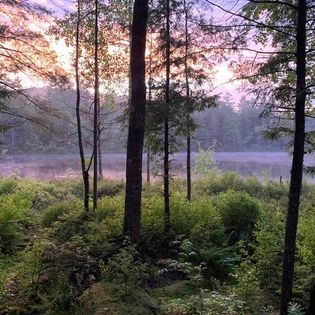 Wakonda Family Campground: Site B15