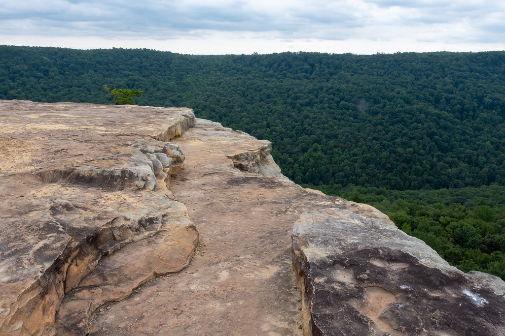 Savage Gulf State Park