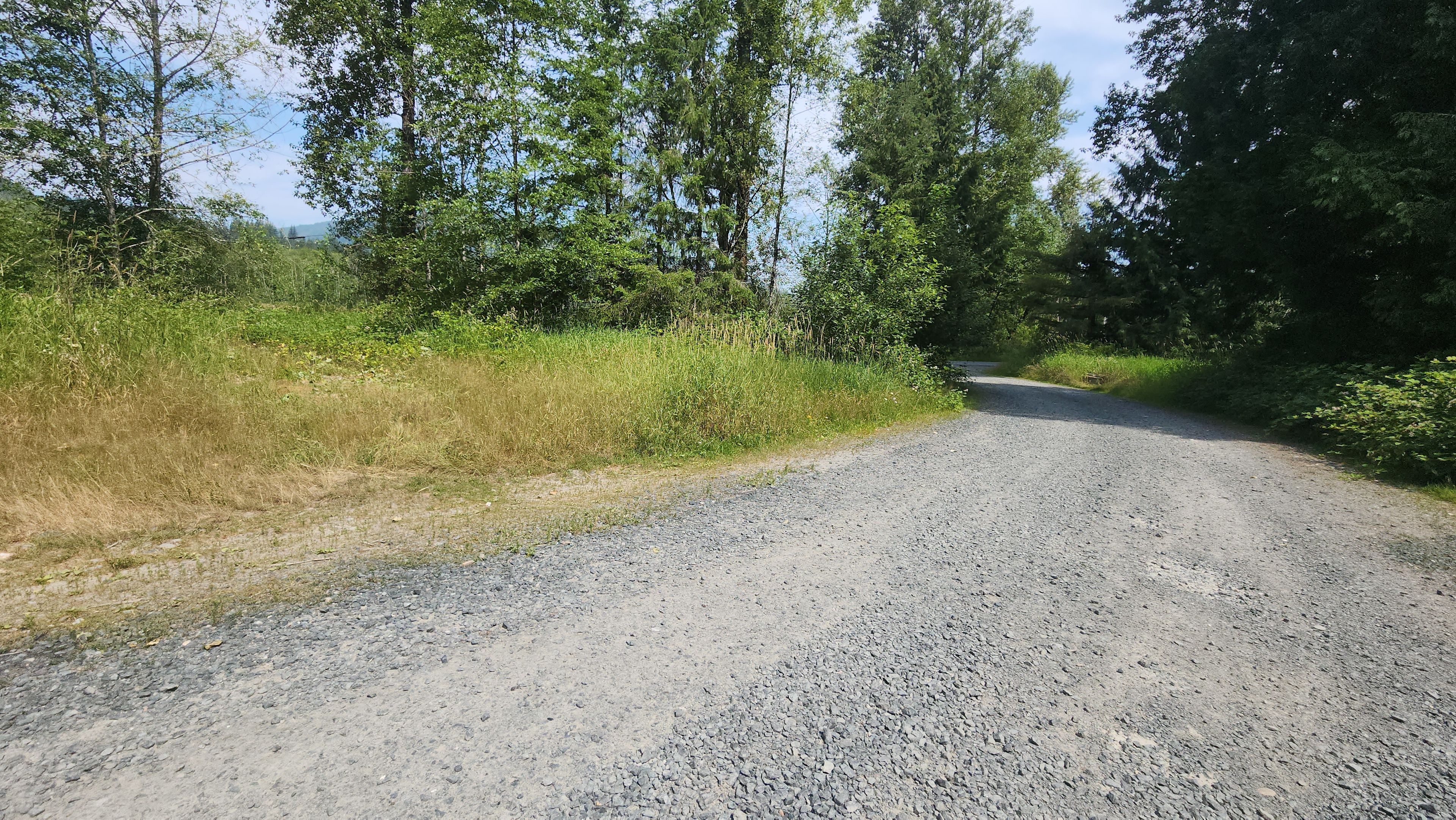 Wickersham Forest