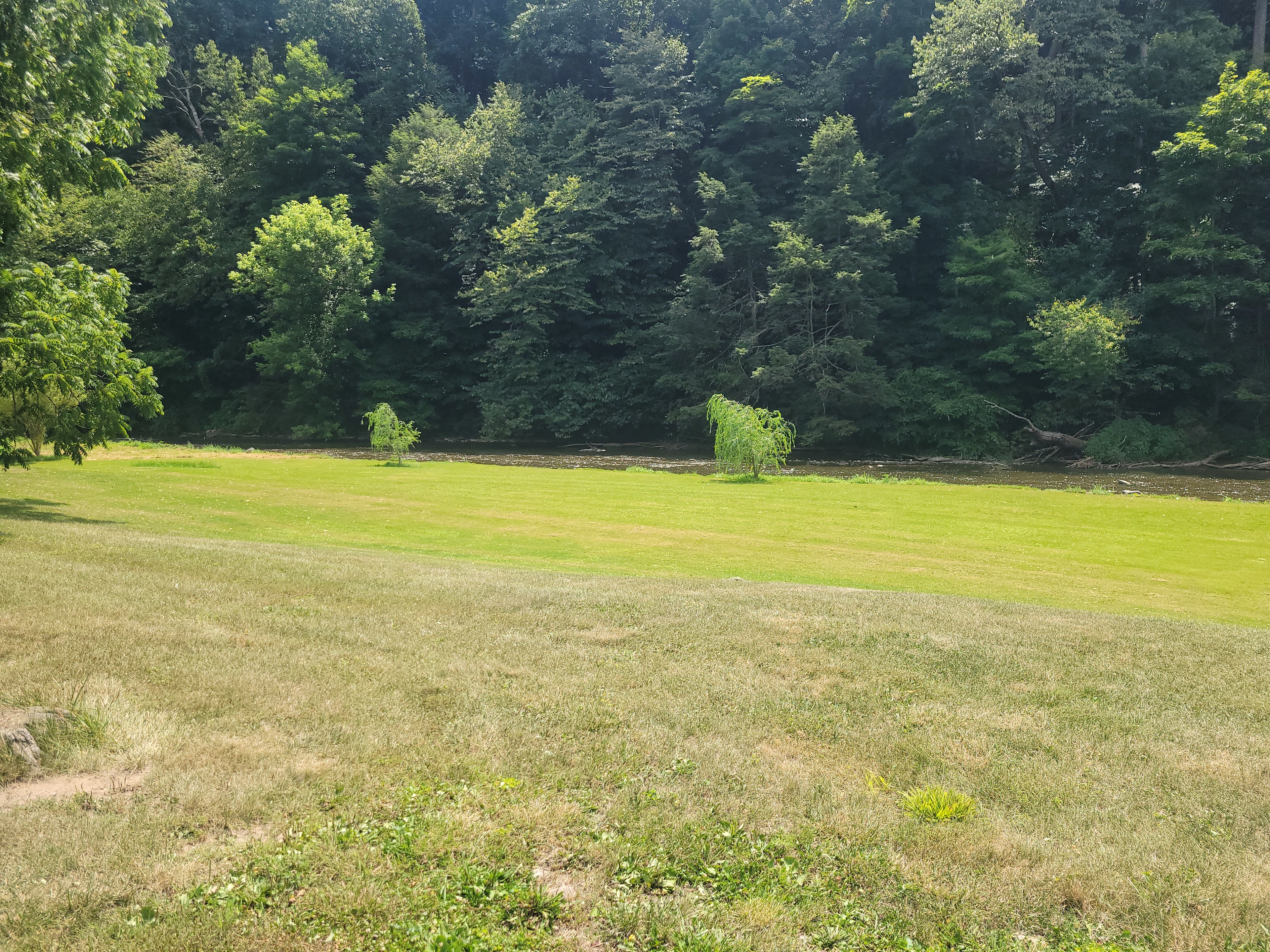 Yellow Creek