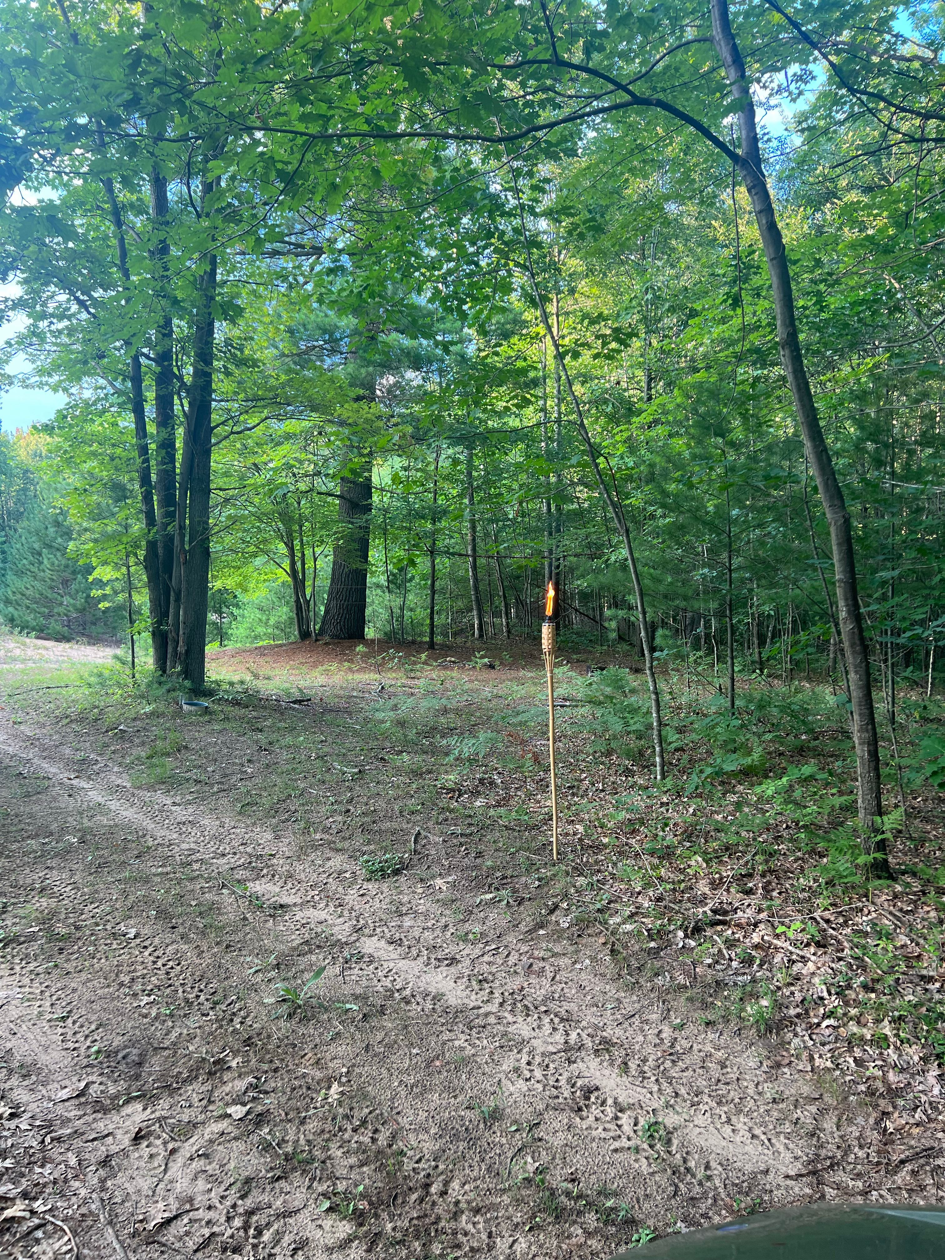 Verity acres