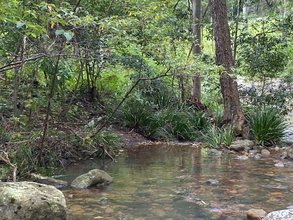 Congewai Valley Estate