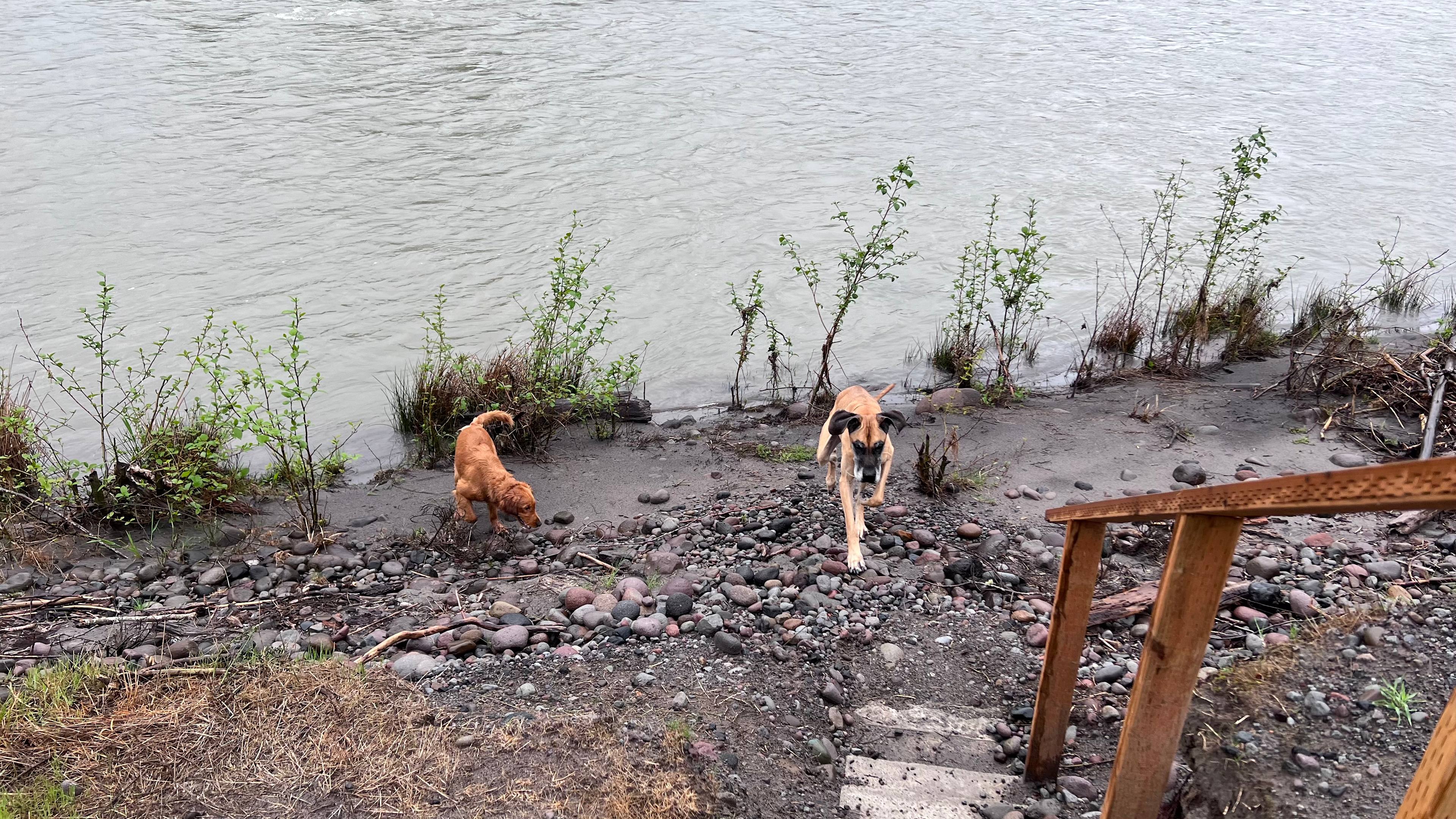 Otter Pond Riverfront Getaway