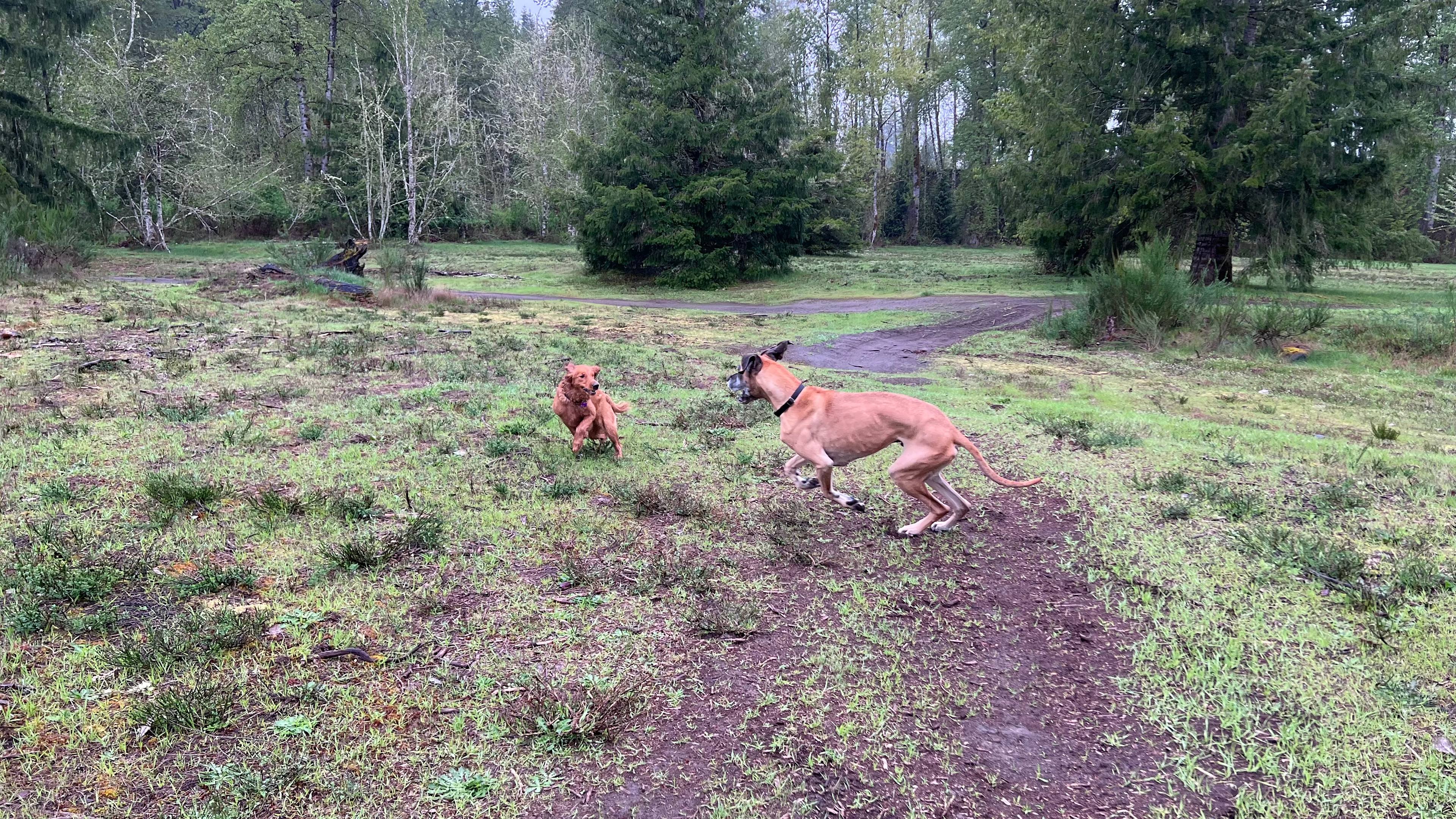 Otter Pond Riverfront Getaway