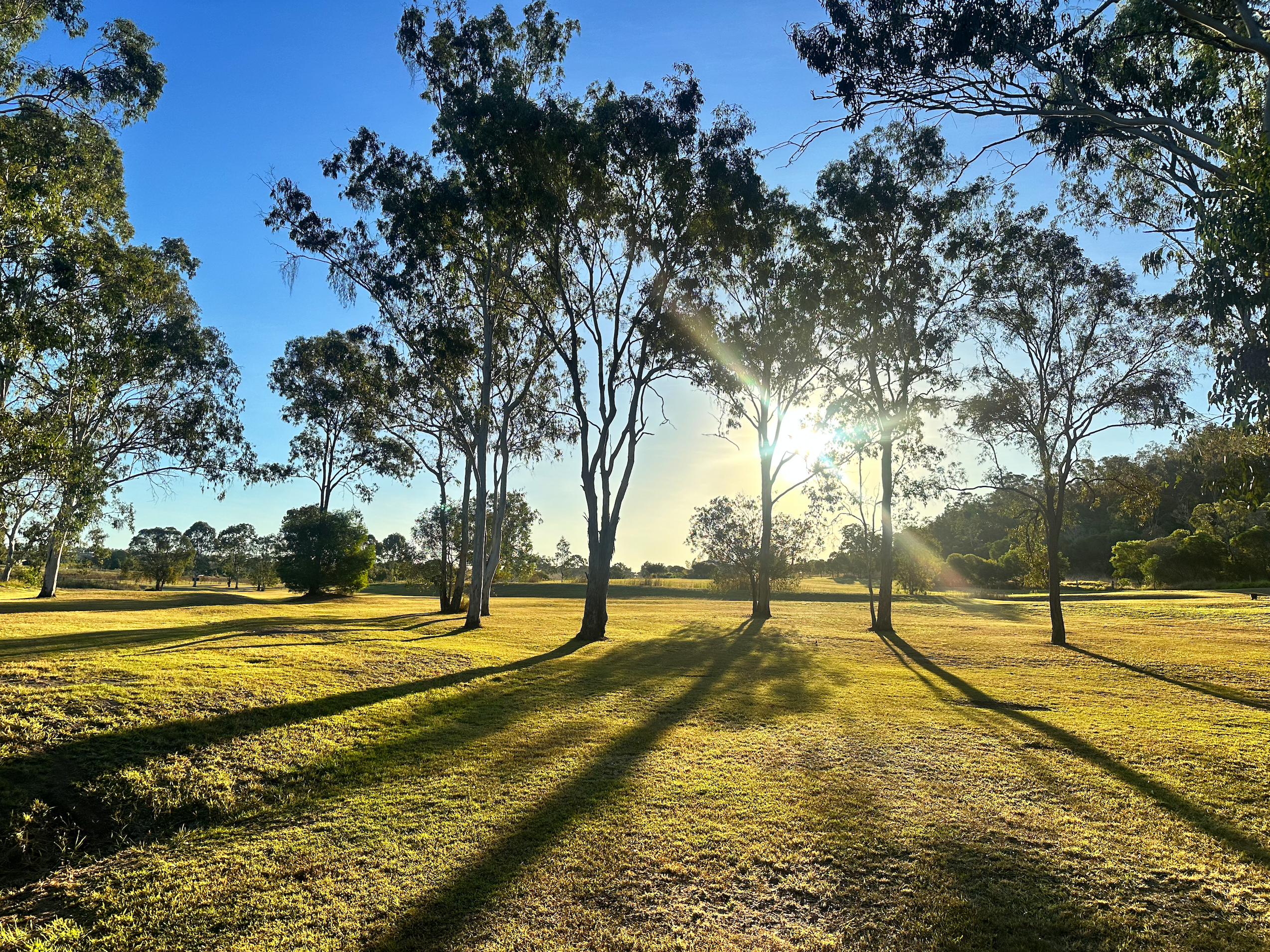 Ahead of Time - Green Acres Camping