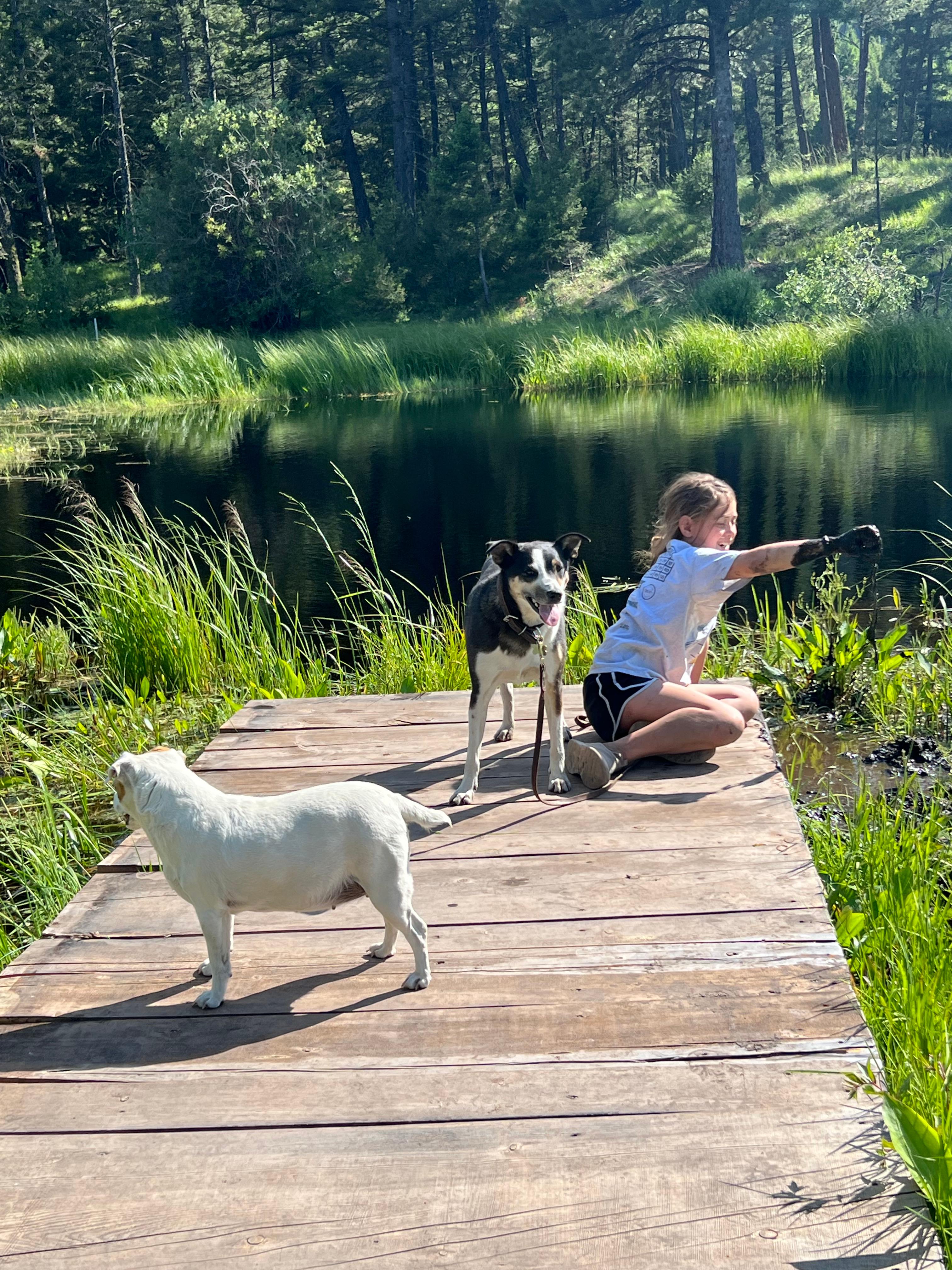Mile High Mountain Homestead
