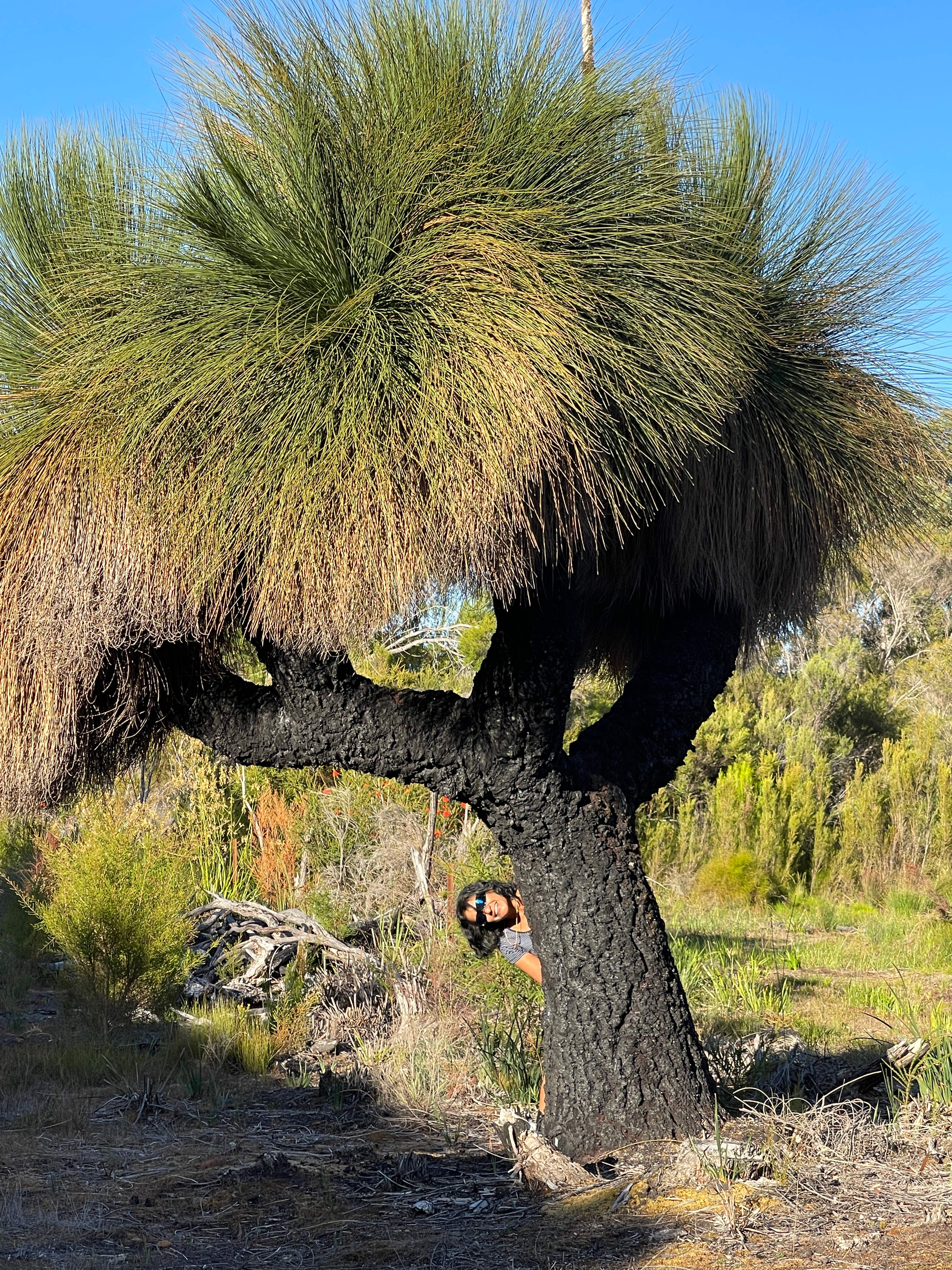 Northcliffe Deluxe Bush Camp