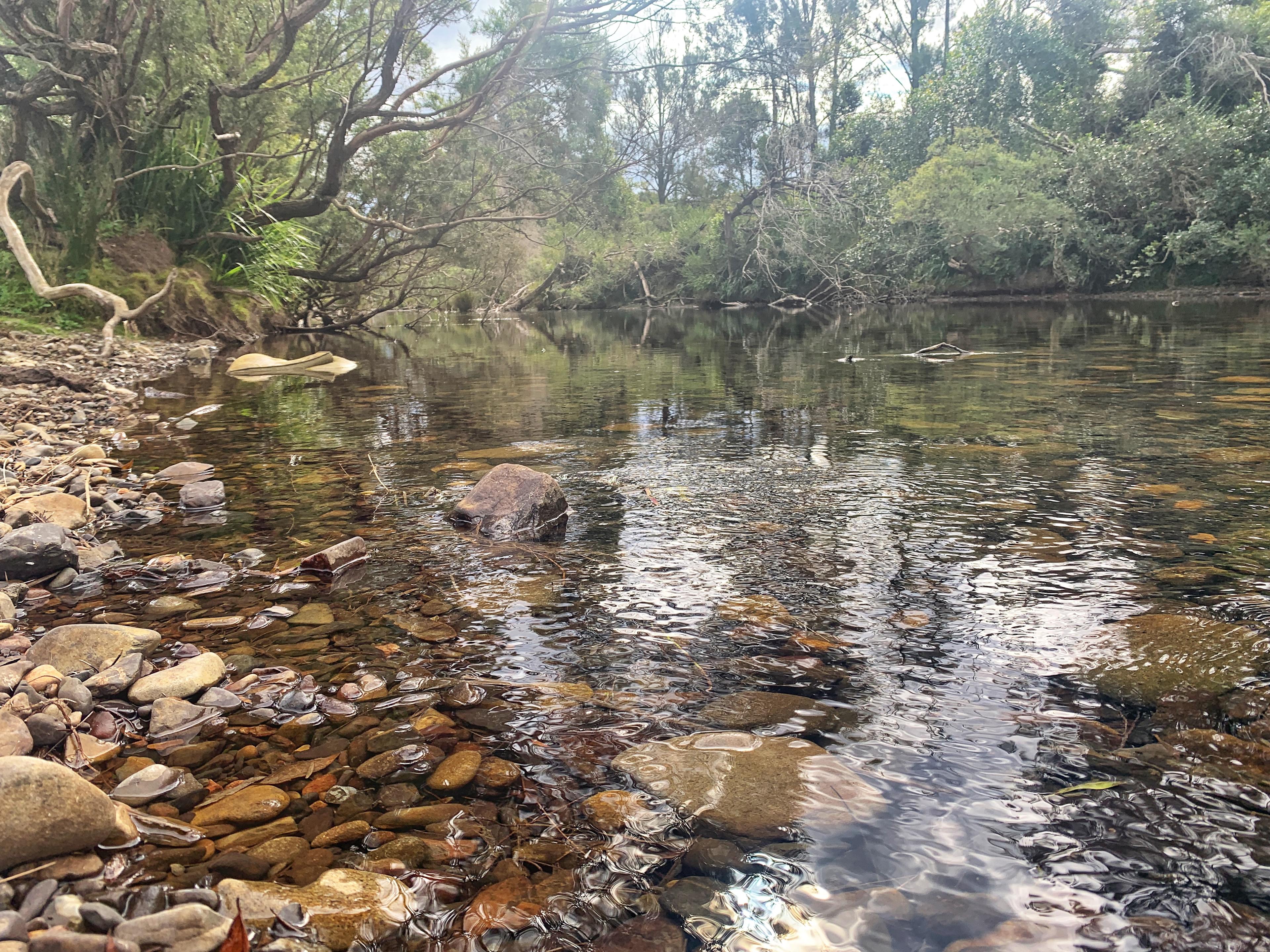 Crystal clear water - so good you can drink it!