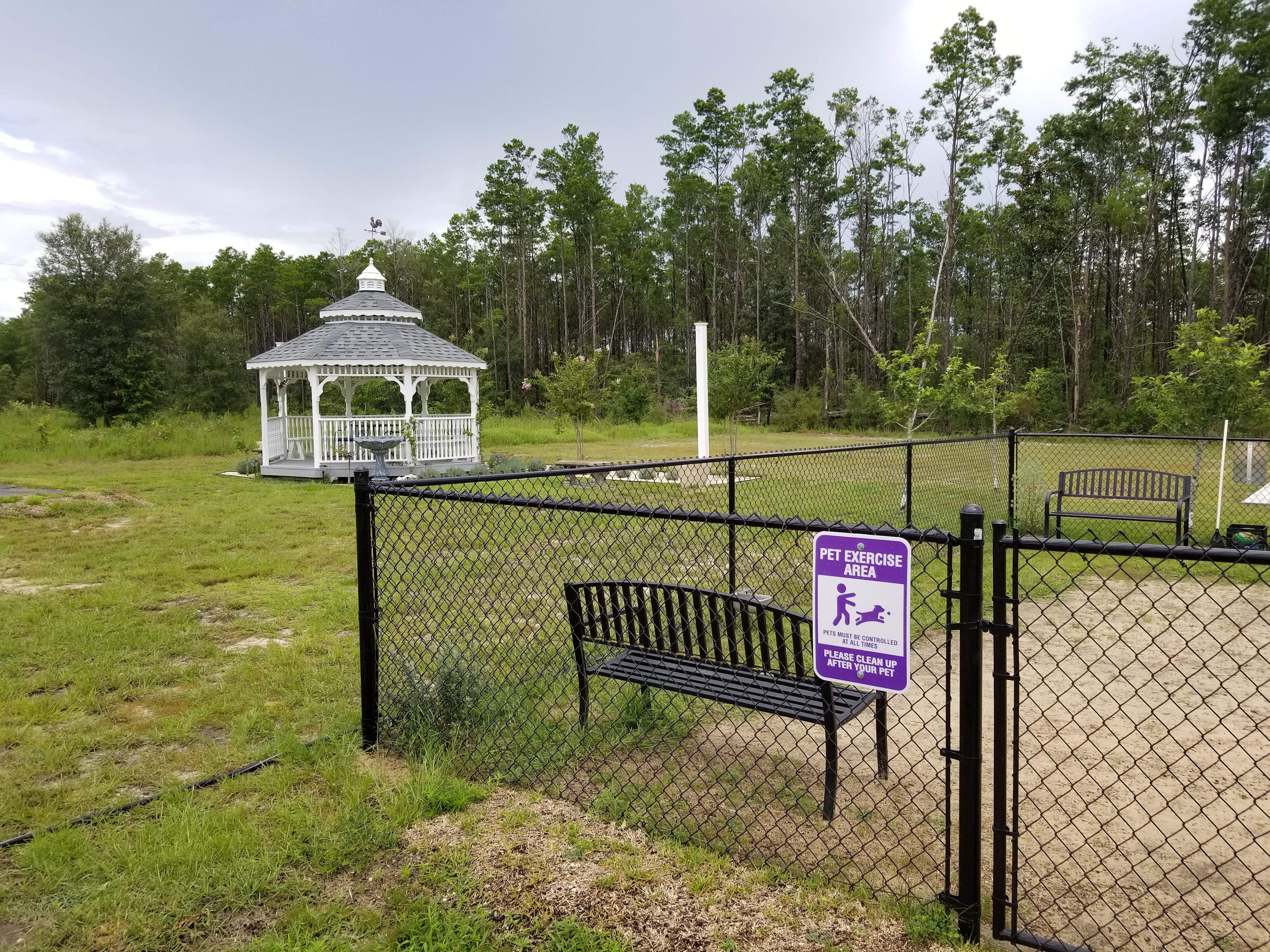Southern Grace Lavender Farm
