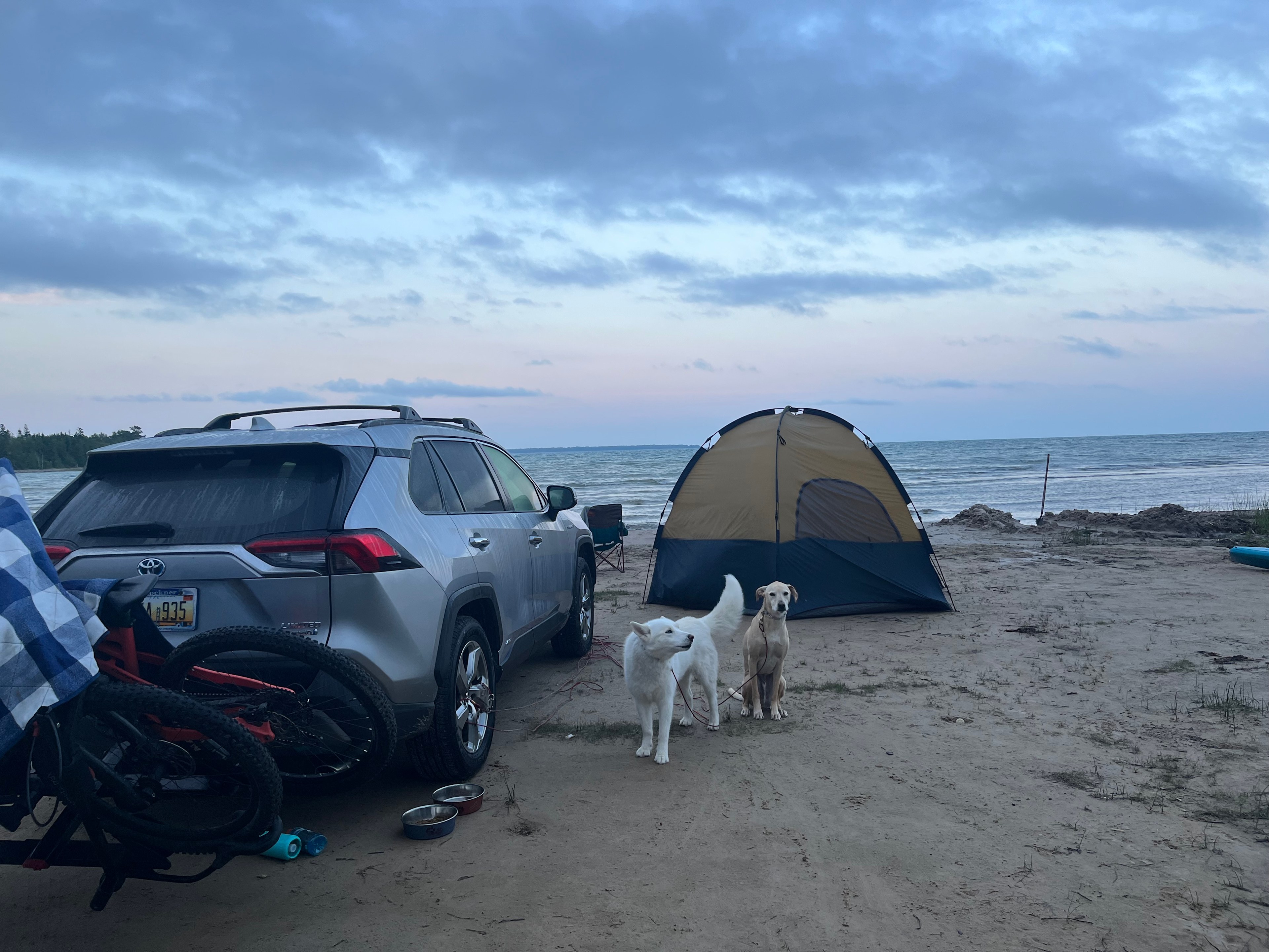 Just Show Up Camping