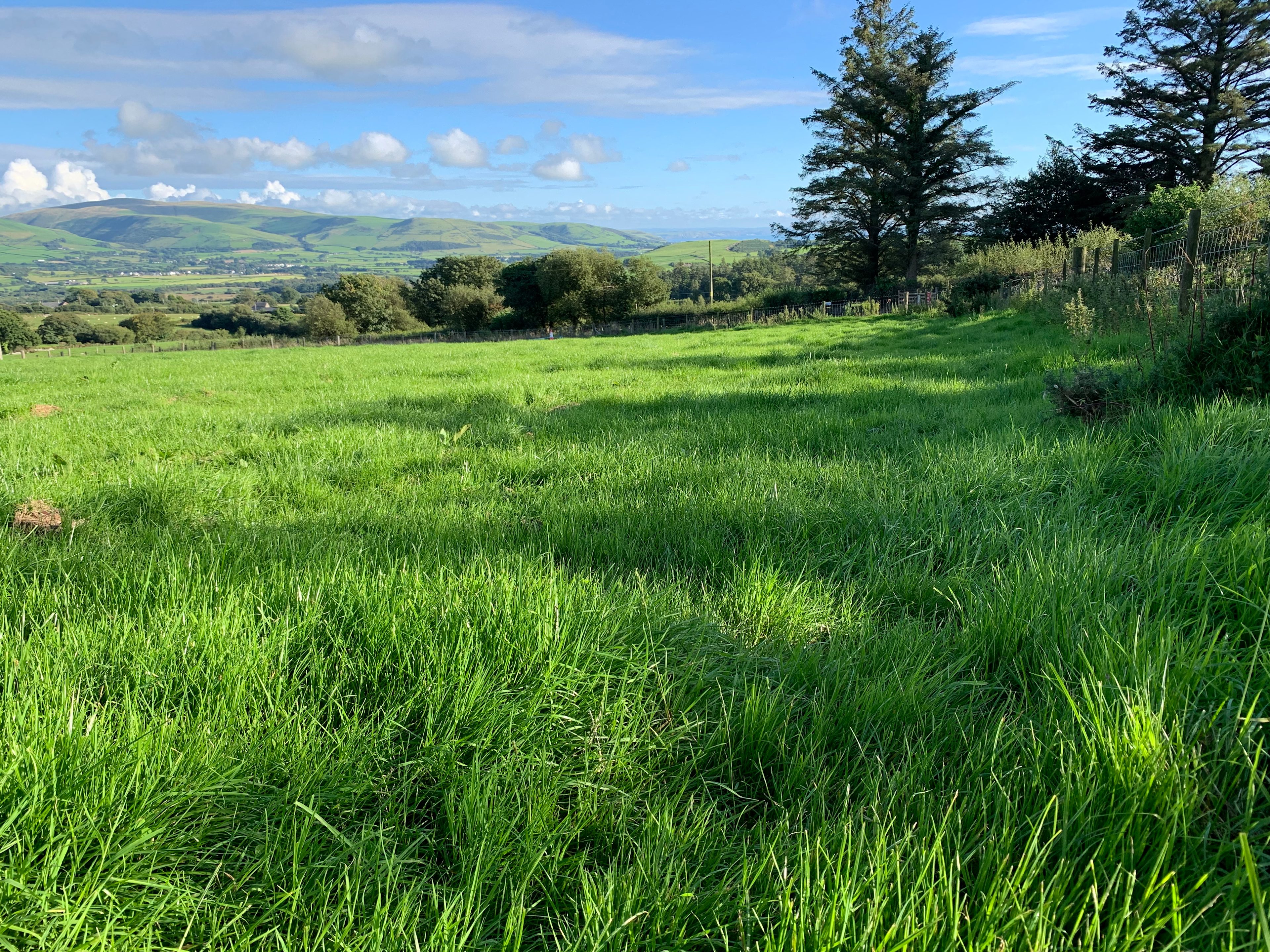 Nant Madyn Camping