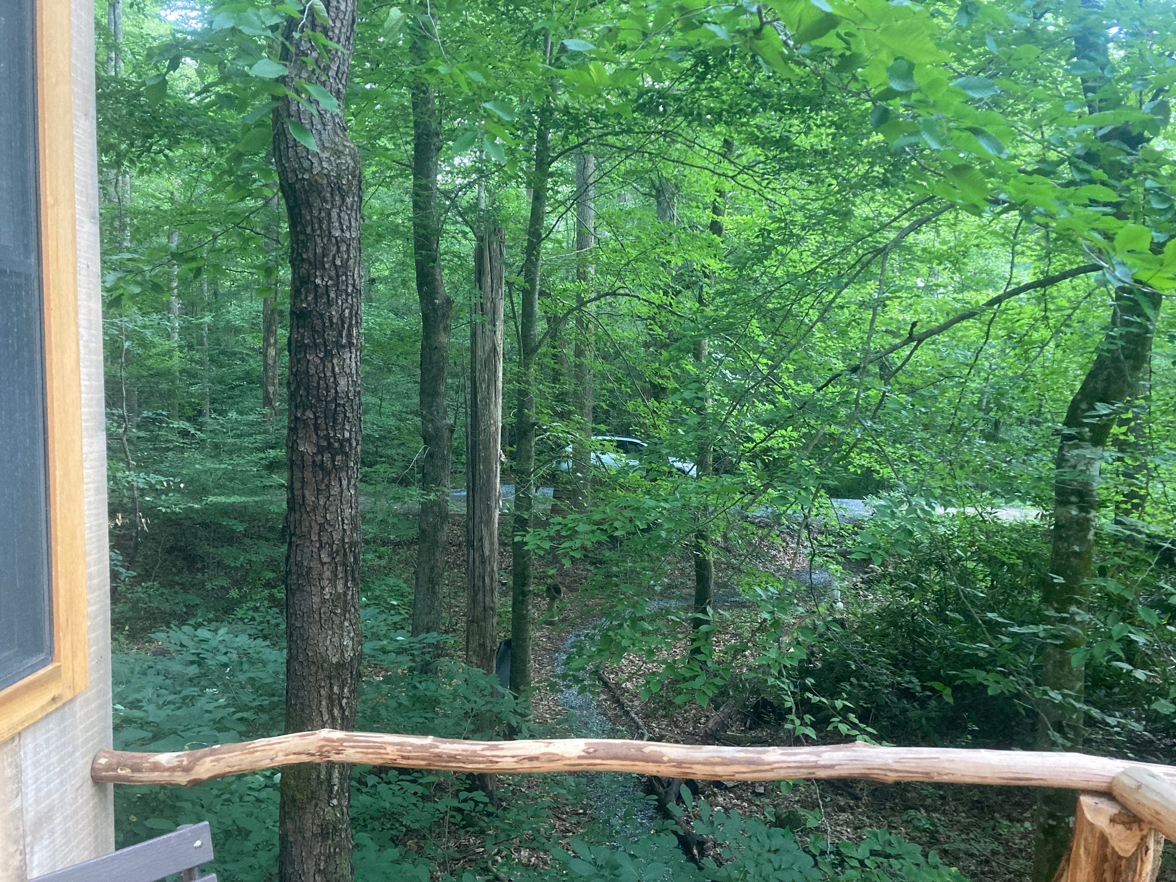 See your car from the fount porch!