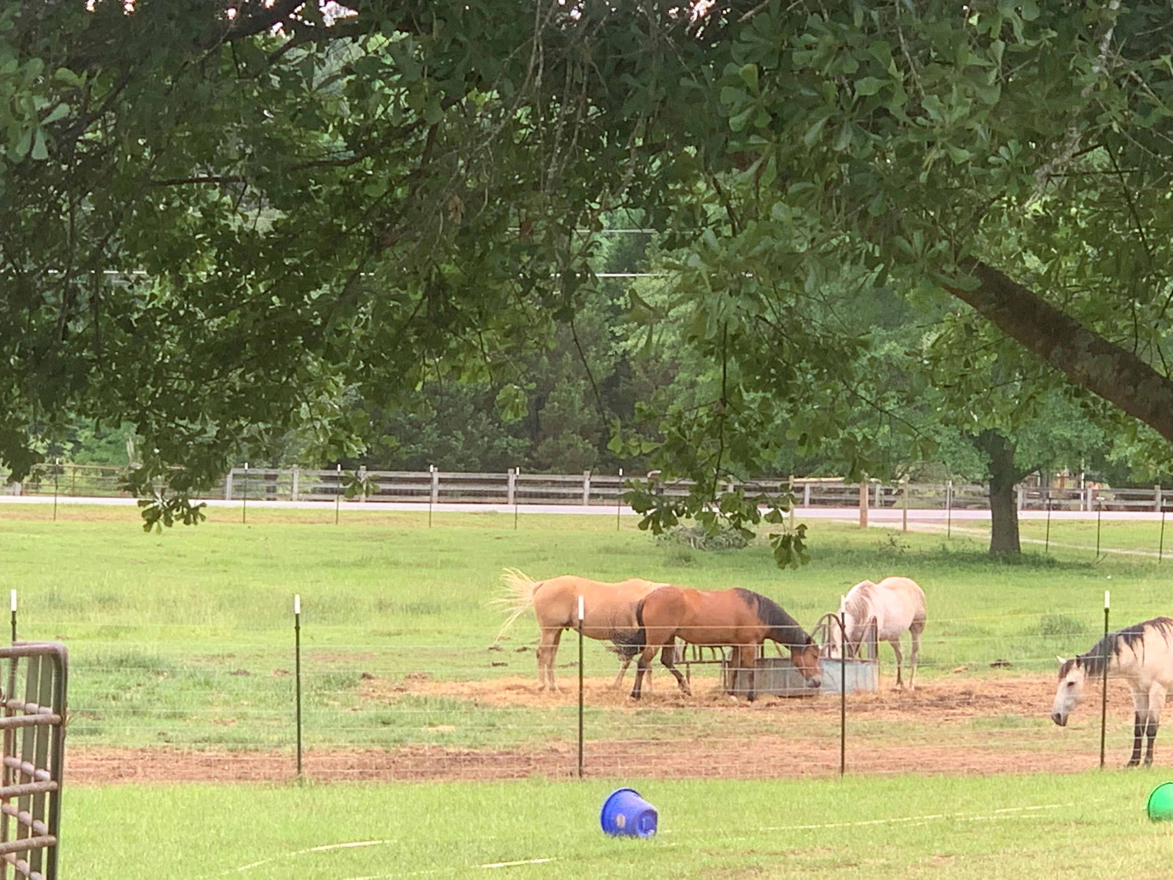 O’re Yonder Oasis