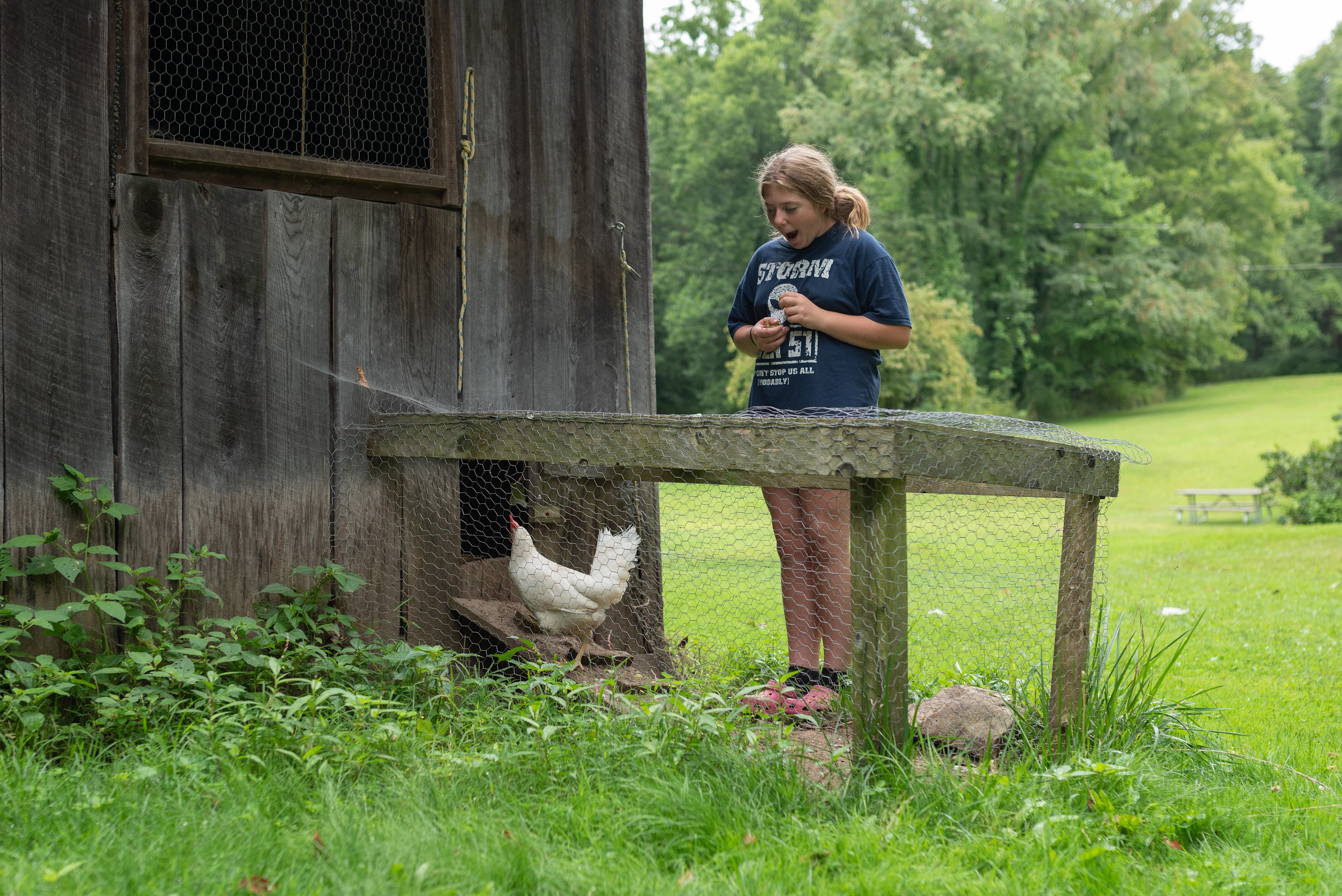 Chicken coop. Near the electric site