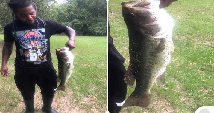 Bluewater Horse Ranch