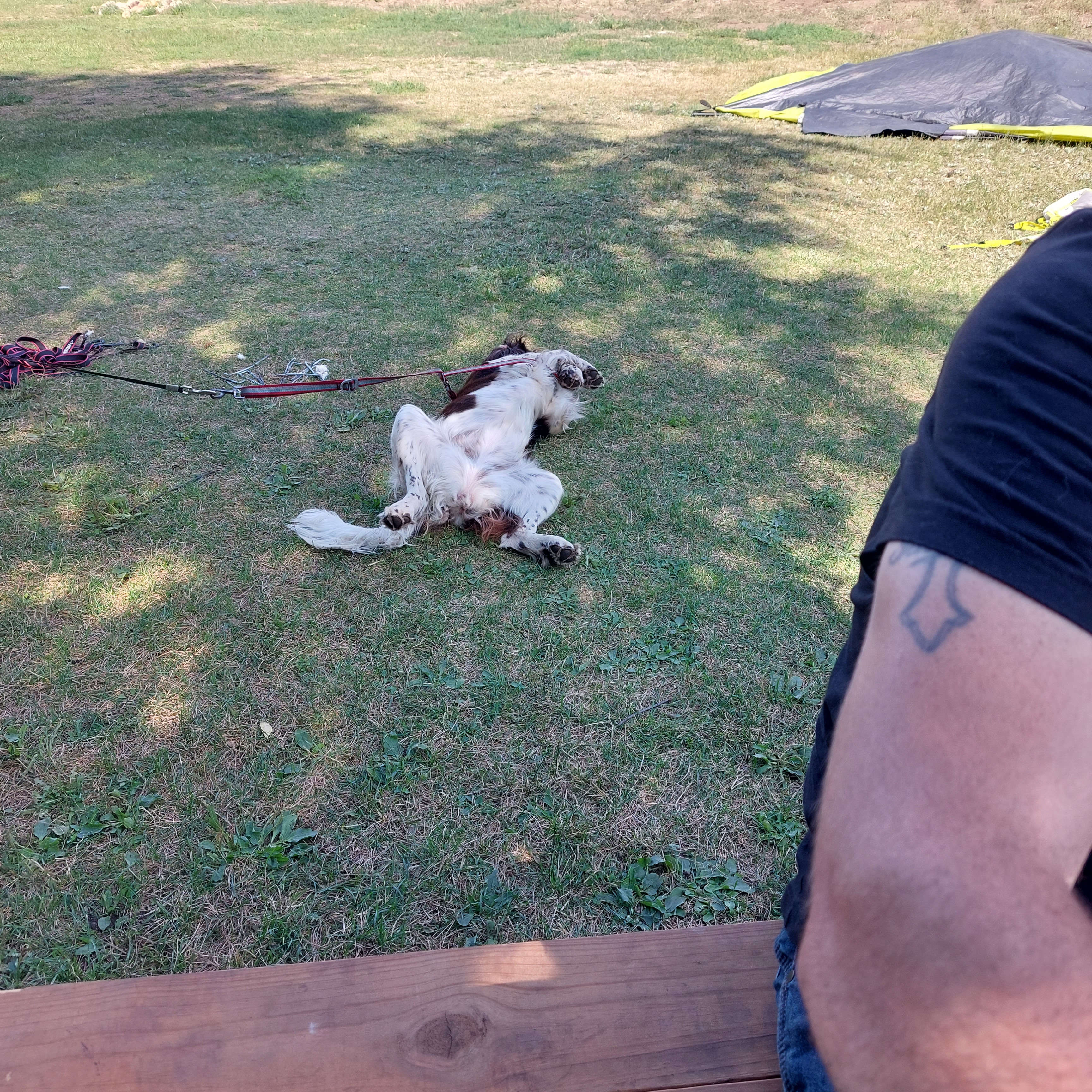 Silverline Lakeside Resort