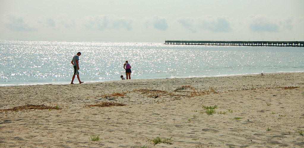 Amelia Island State Park