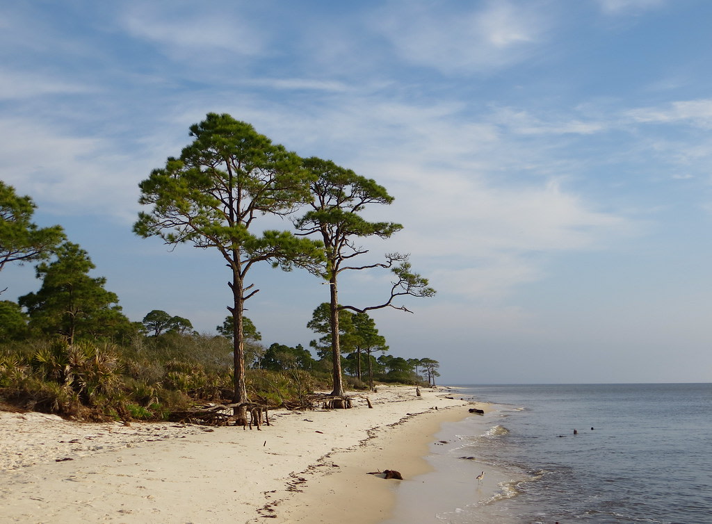 Bald Point State Park