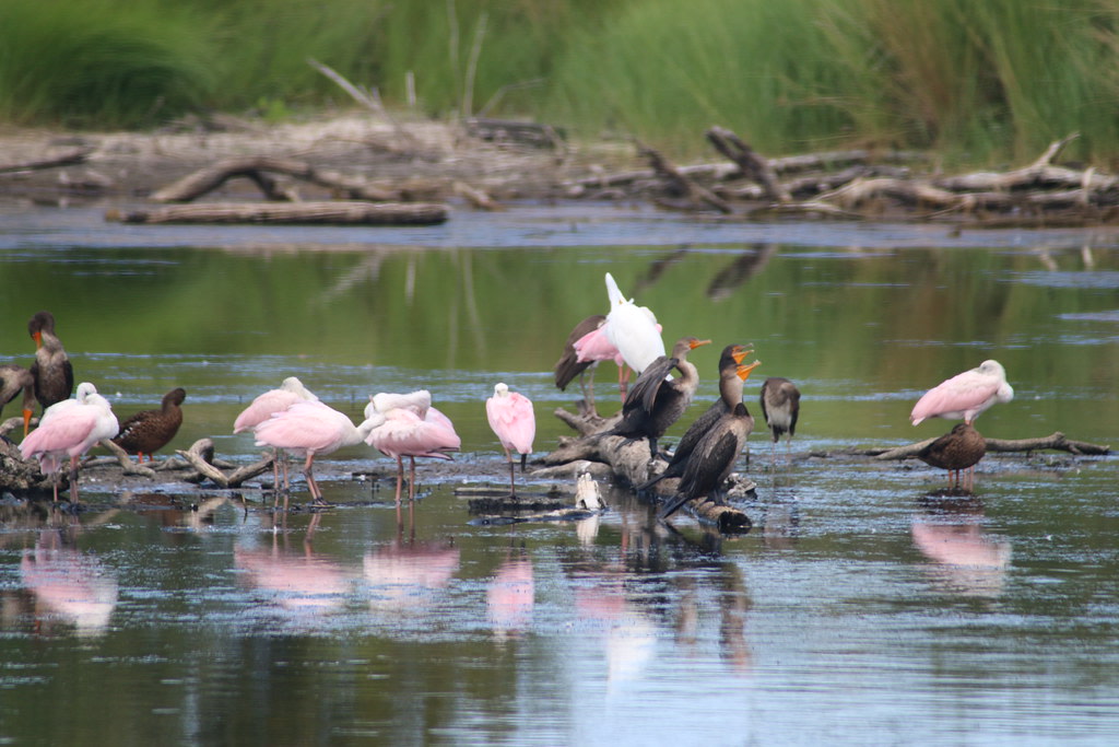 Big Talbot Island State Park